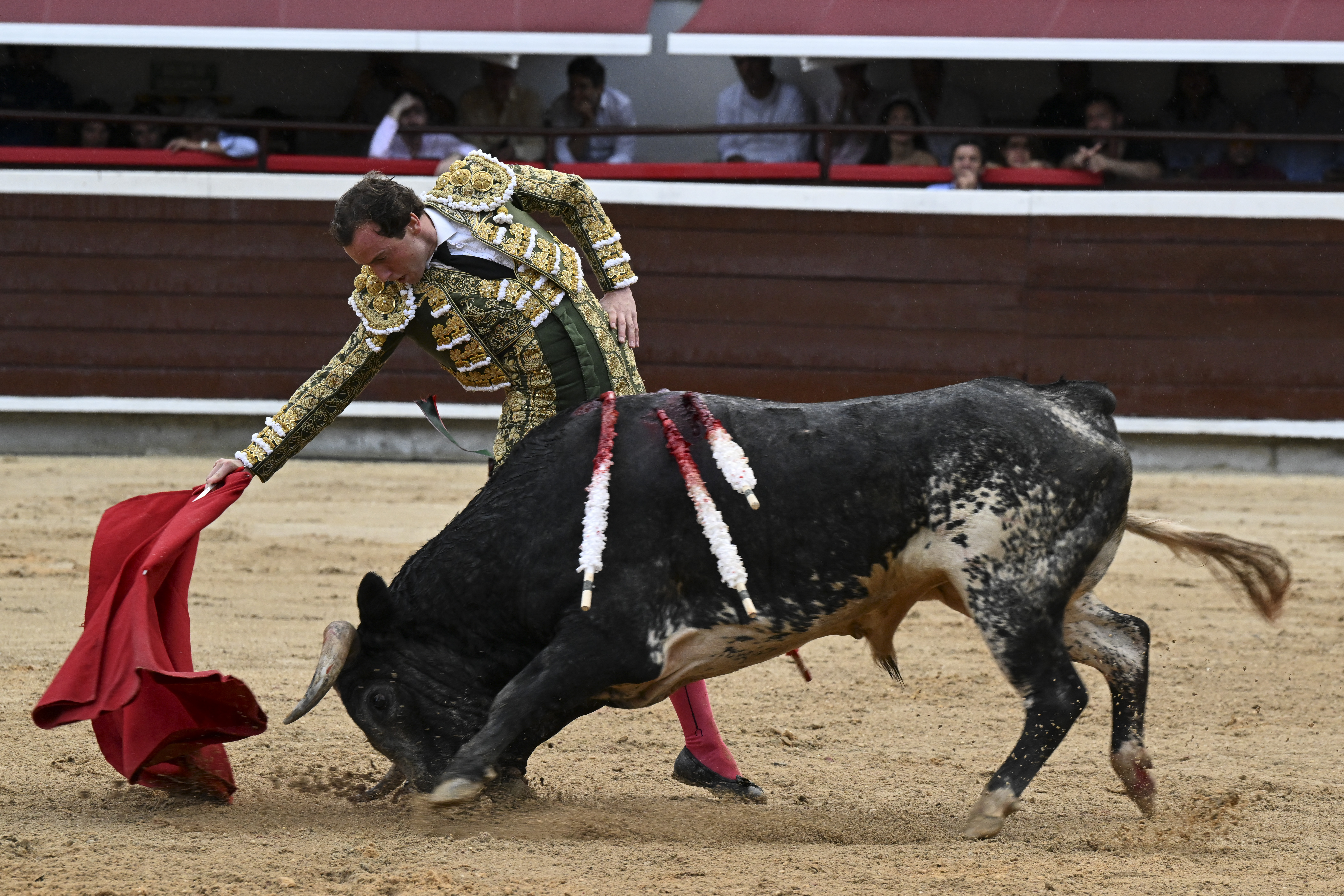 Le torero a été soigné sur place pour stabiliser ses blessures avant d’être transporté à l'hôpital de Mont-de-Marsan. AFP/ Joaquin Sarmiento