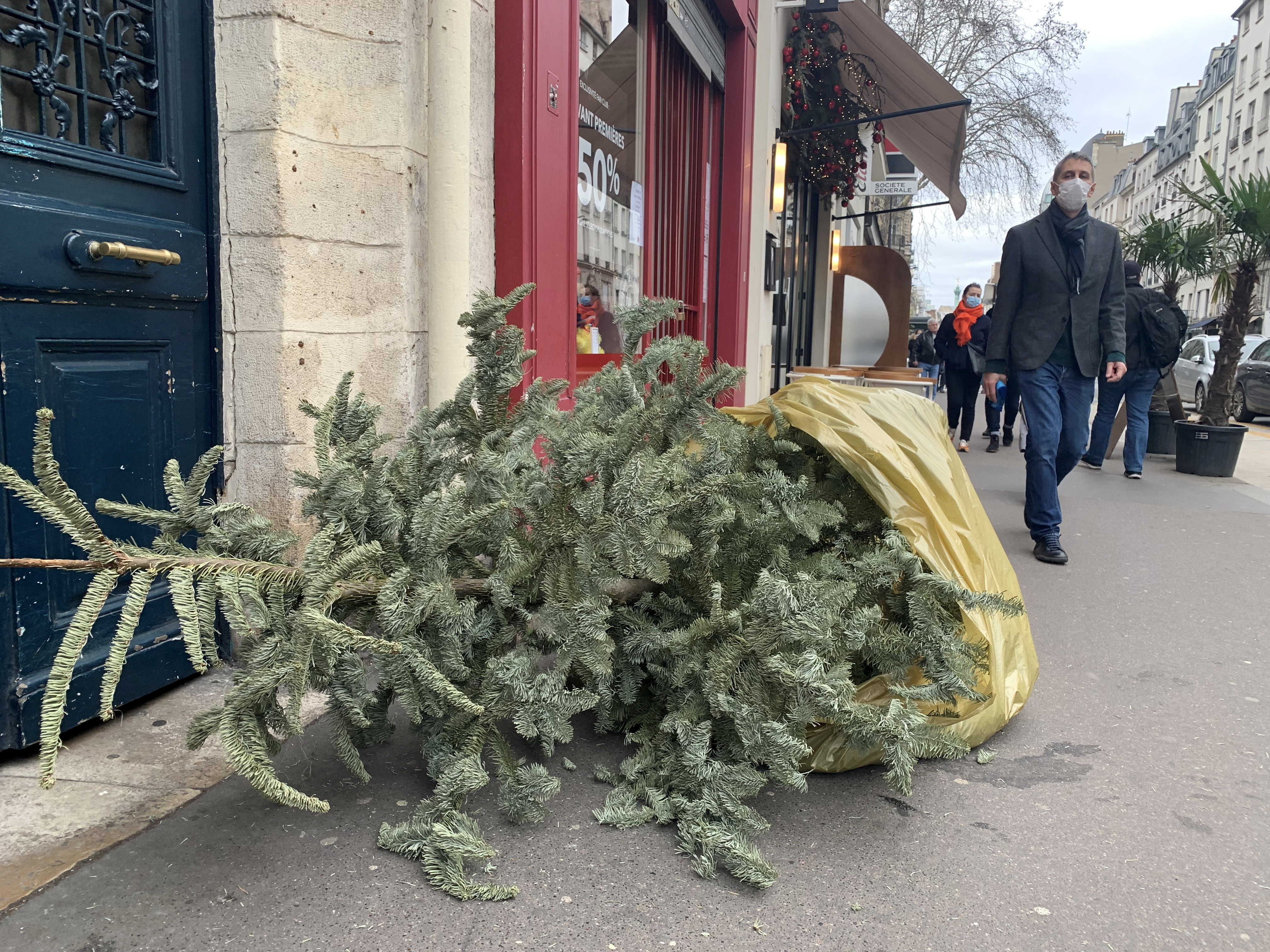 Recyclage des arbres de Noël : le sac à sapin compostable, un choix  vraiment écolo ? - Le Parisien