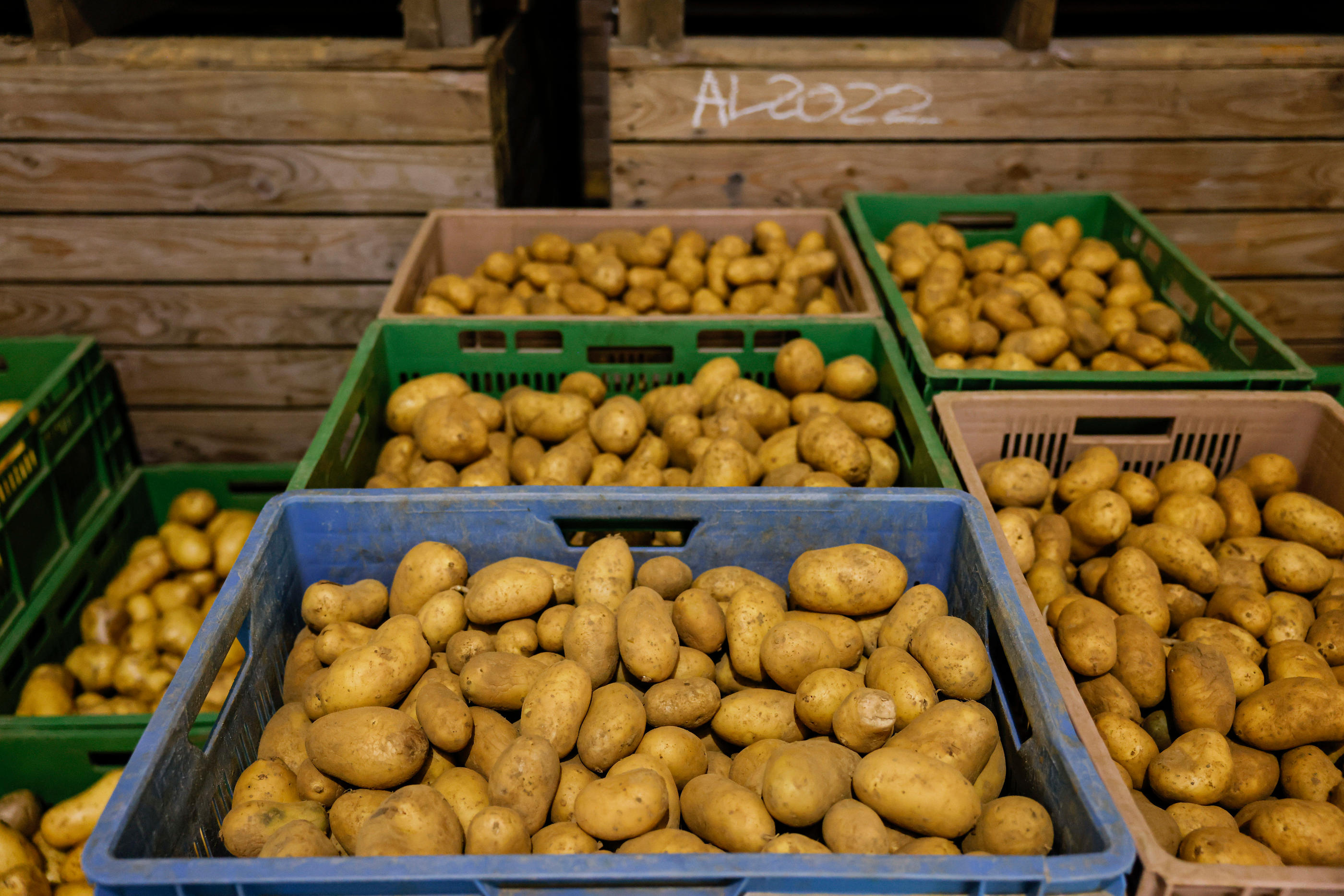 Chaque année, les Français consomment en moyenne 50 kg de pommes de terre dont 30 kg sous forme transformés par an. LP /Olivier Corsan