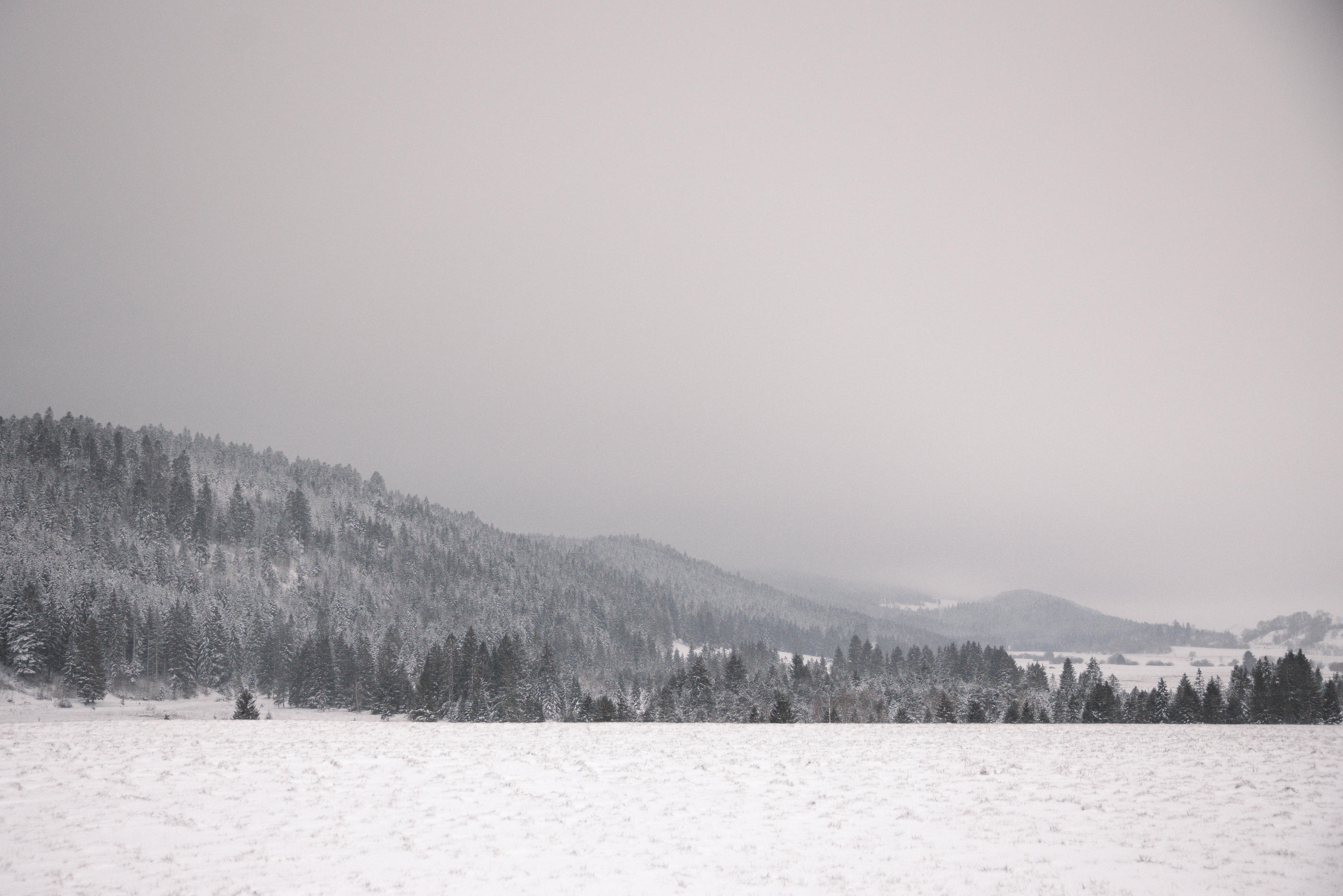 La vallée de Mouthe (Doubs) se situe dans « un trou à froid », où les conditions favorisent des températures glaciales. LP/Arnaud Dumontier