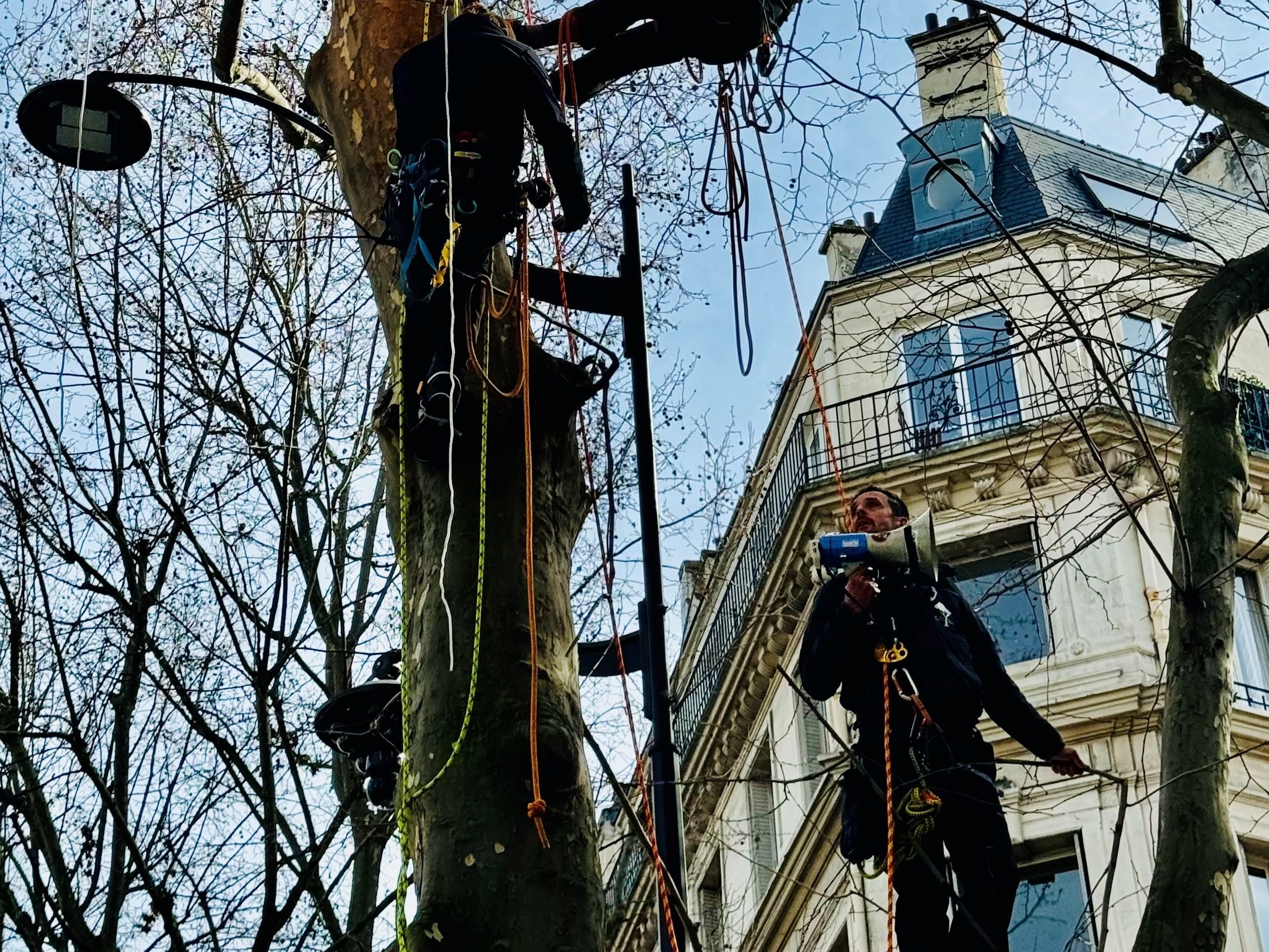 Thomas Brail et deux militants du GNSA sont montés dans la nuit de dimanche à lundi un arbre face au ministère de la Transition écologique à Paris. LP/Aymeric Renou