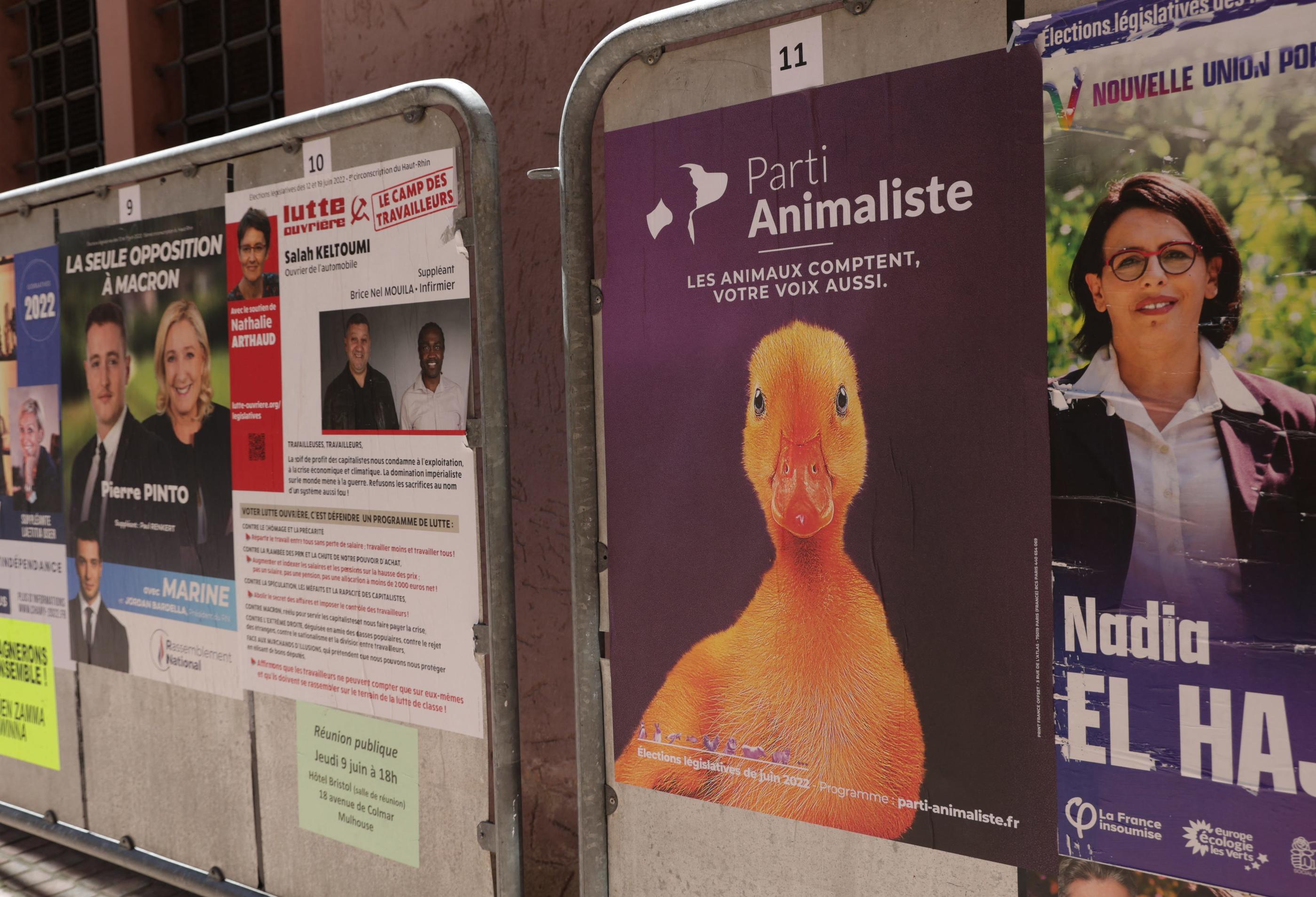 L’objectif du Parti animaliste n’était clairement pas de faire une entrée en force à l’Assemblée, mais bel et bien de continuer à sensibiliser l’opinion à la cause animale. PhotoPQR/L'Alsace/Darek Szuster