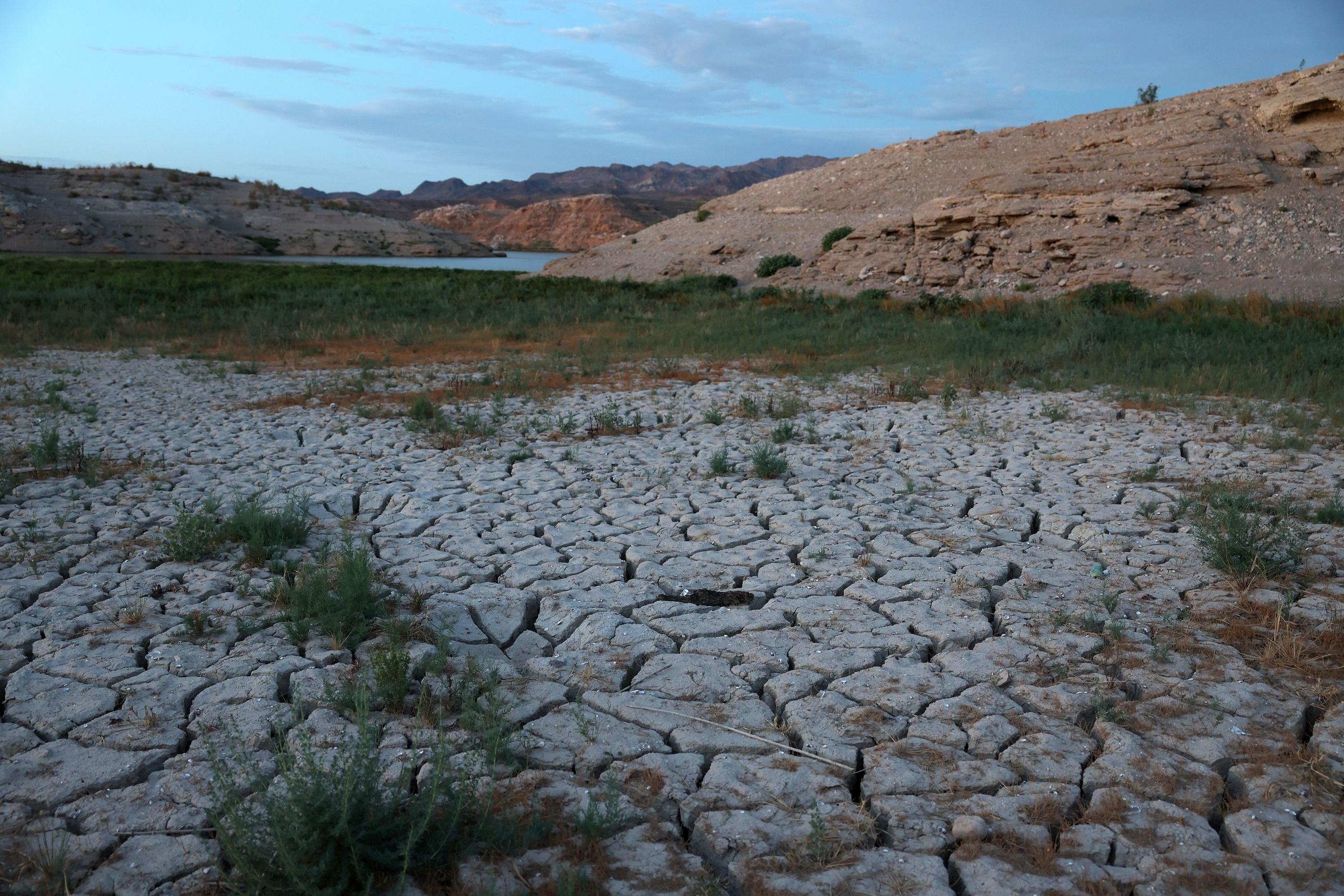L'Ouest des Etats-Unis connaît sa 23e année de sécheresse. (Illustration) AFP/Getty Images/Justin Sullivan