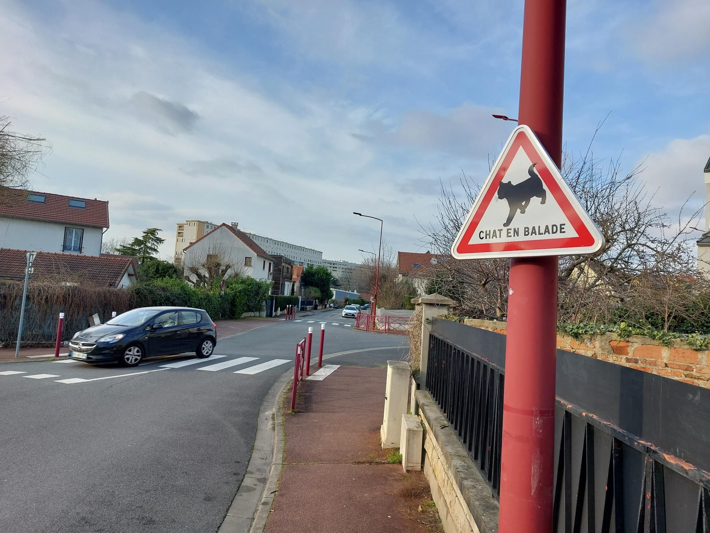 Fresnes, février 2024. Des habitants de Villejuif aimeraient le retour de panneaux prévenant les conducteurs de la traversée de chats, à l'image de ce qu'a réalisé cette autre ville du Val-de-Marne. LP/Gérald Moruzzi