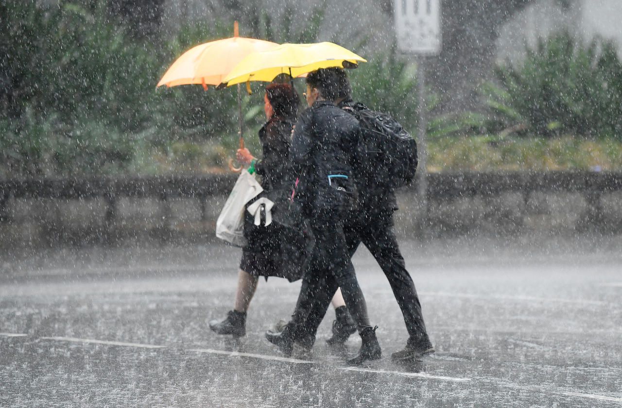 Dans l'Hérault, de très violents orages peuvent apporter en quelques heures l’équivalent de plusieurs mois de pluie. (Illustration) REUTERS/Bianca De Marchi
