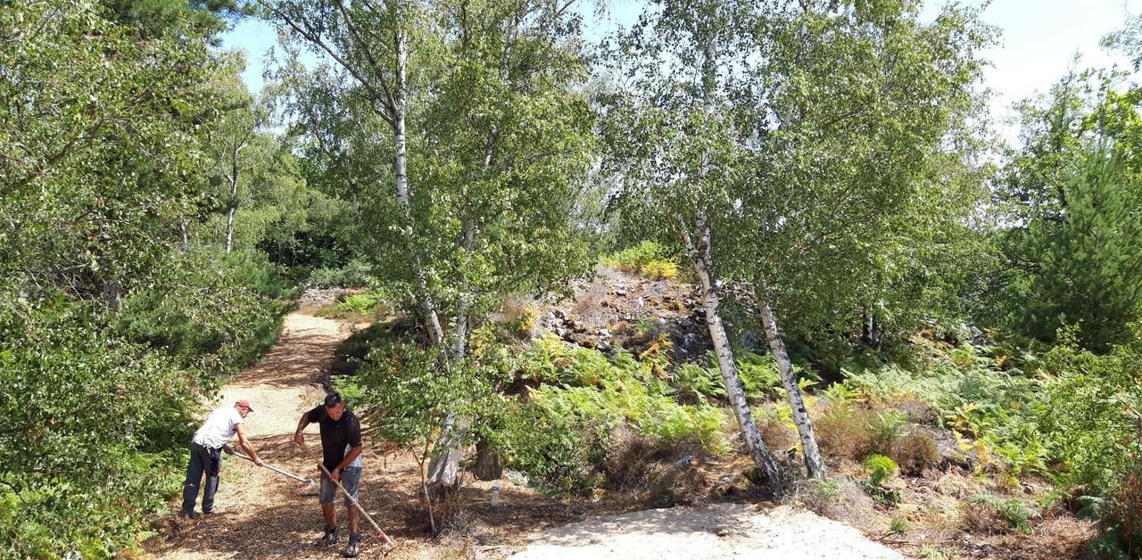 <b></b> Auvers-Saint-Georges, le 20 juillet 2020. Le département de l’Essonne aménage une nouvelle forêt publique grâce à un legs privé. Les promeneurs pourront profiter des 35 ha à partir du 10 octobre.