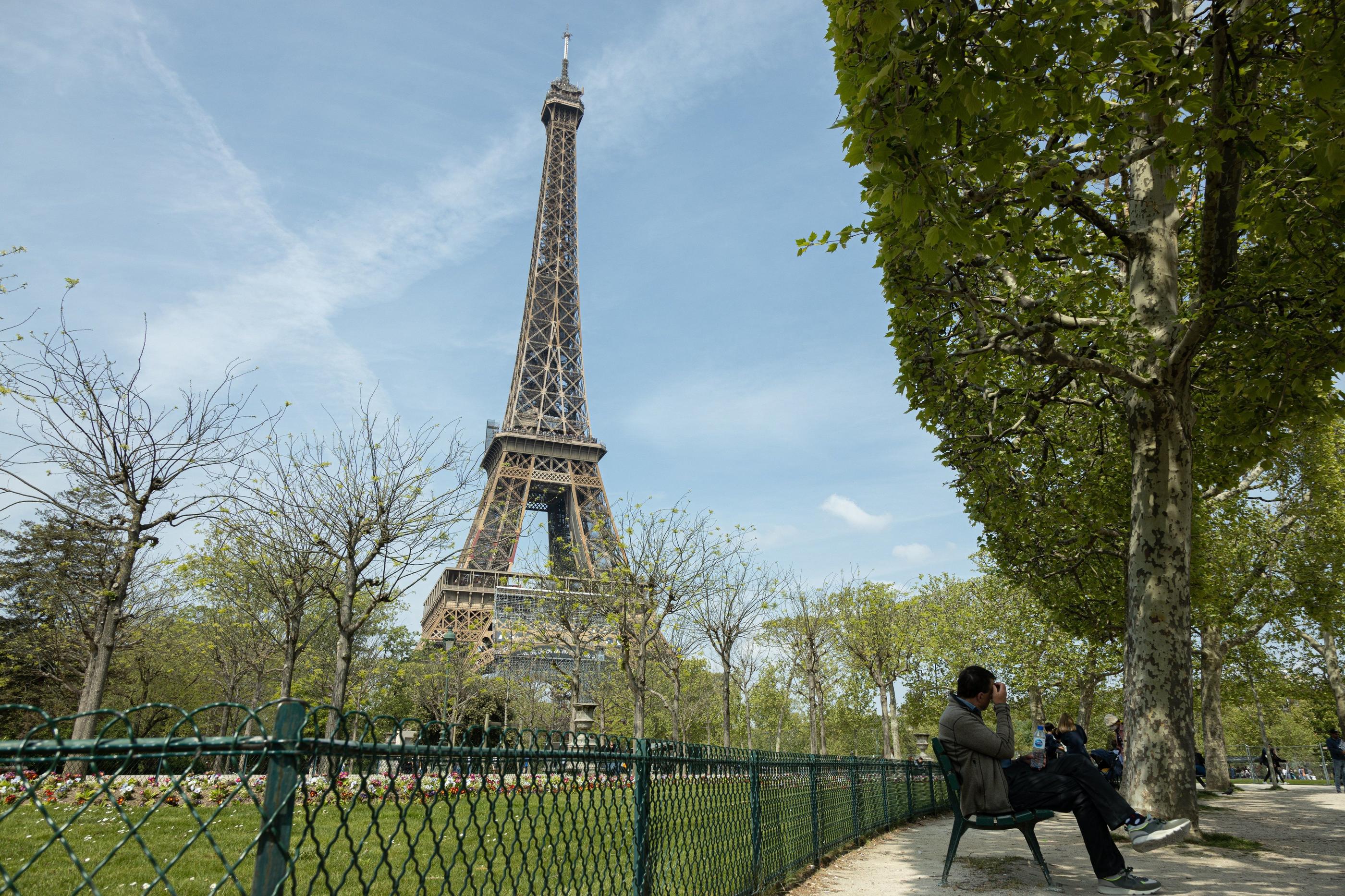 Le projet «One Site» (Paris, VIIe) pourrait être retardé en partie à cause de la sauvegarde des arbres aux abords de la tour Eiffel. LP/Stéphane DUPRAT