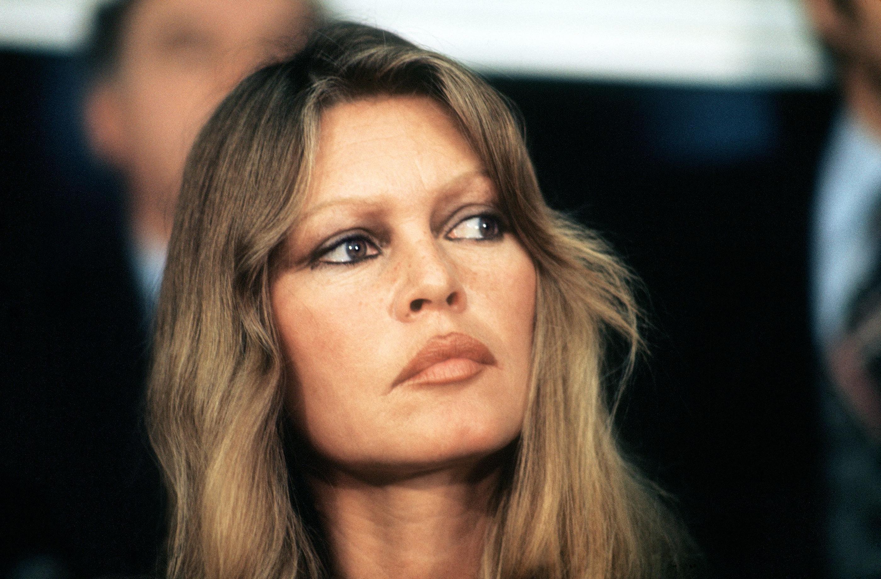 Une des premières femmes à être vraiment moderne » : un portrait de Brigitte Bardot signé Warhol aux enchères - Le Parisien