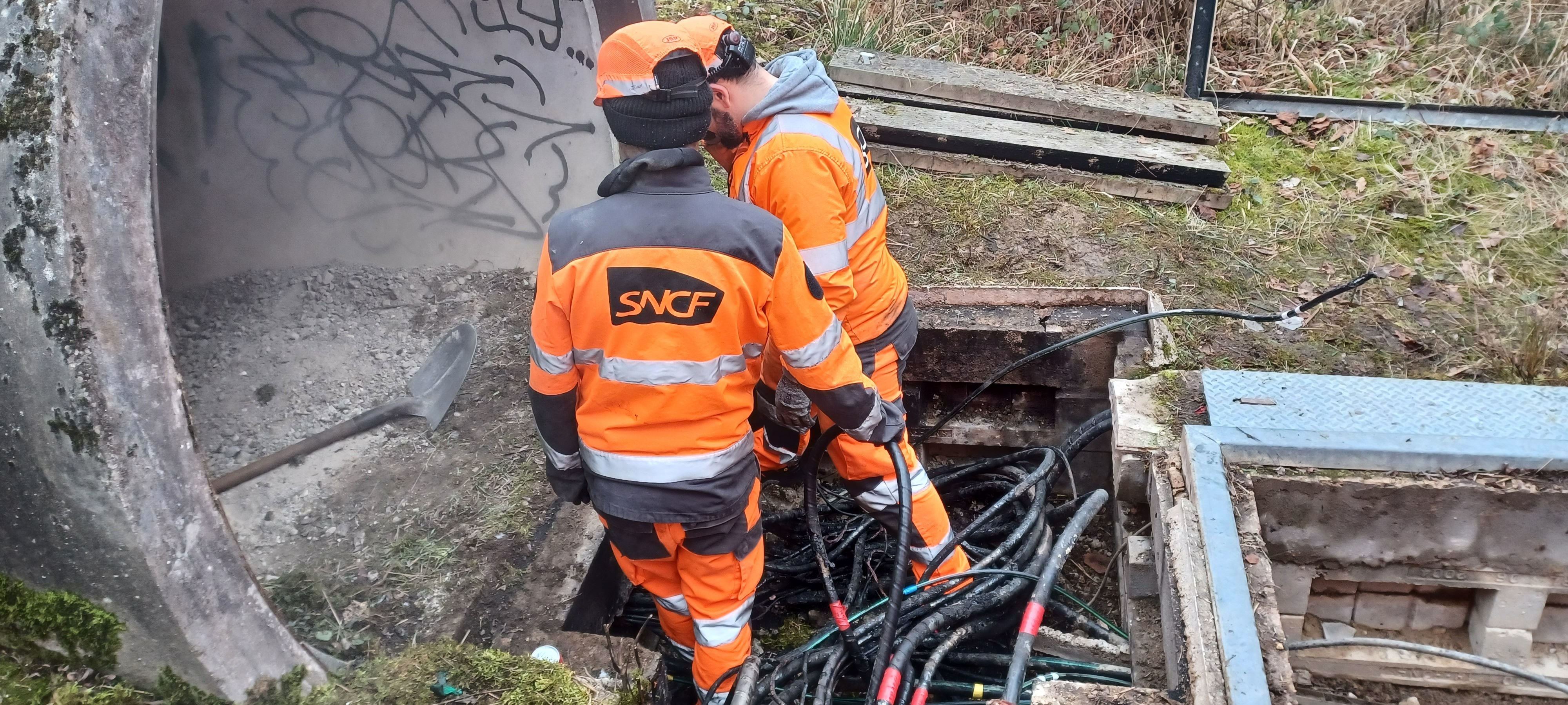 Environ 600 câbles de la SNCF ont été endommagés le 24 janvier par un incendie volontaire à Vaires-sur-Marne, sous la voie ferrée. L'absence de vidéosurveillance autour du site, notamment, complique la tâche des enquêteurs. LP/Jila Varoquier
