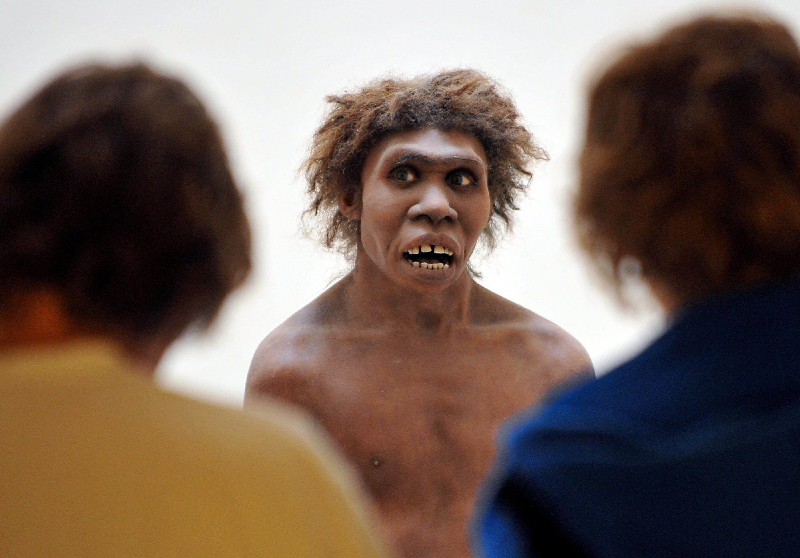 Des visiteurs observent la représentation d'un homme de Néandertal, en 2008 au musée national de la Préhistoire des Eyzies-de-Tayac (Dordogne), près de la grotte de Lascaux. AFP/Pierre Andrieu