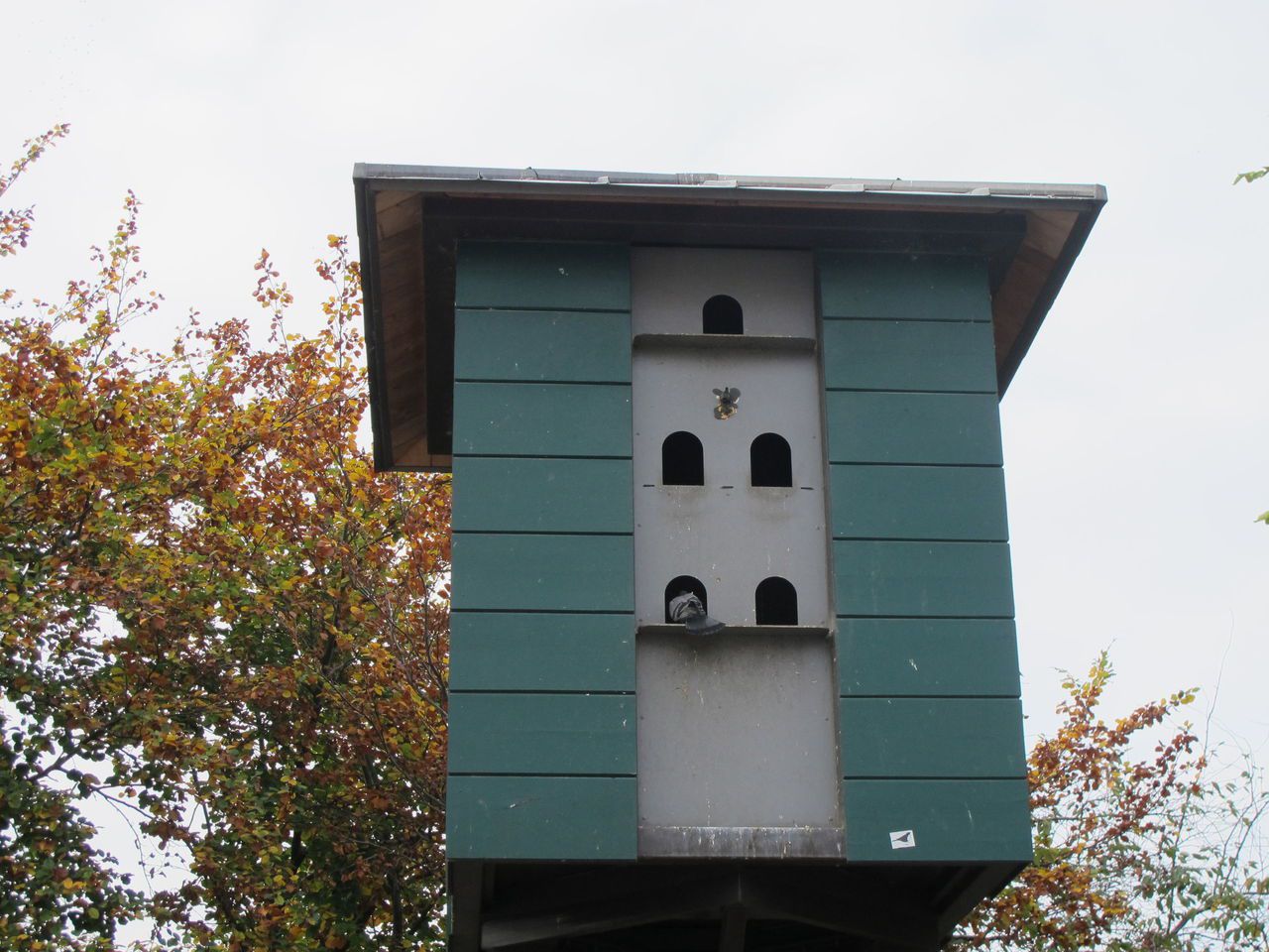 <b></b> Illustration. A partir du 7 novembre, un pigeonnier se dressera au Verger du Grand Centre de Cergy-Pontoise. 