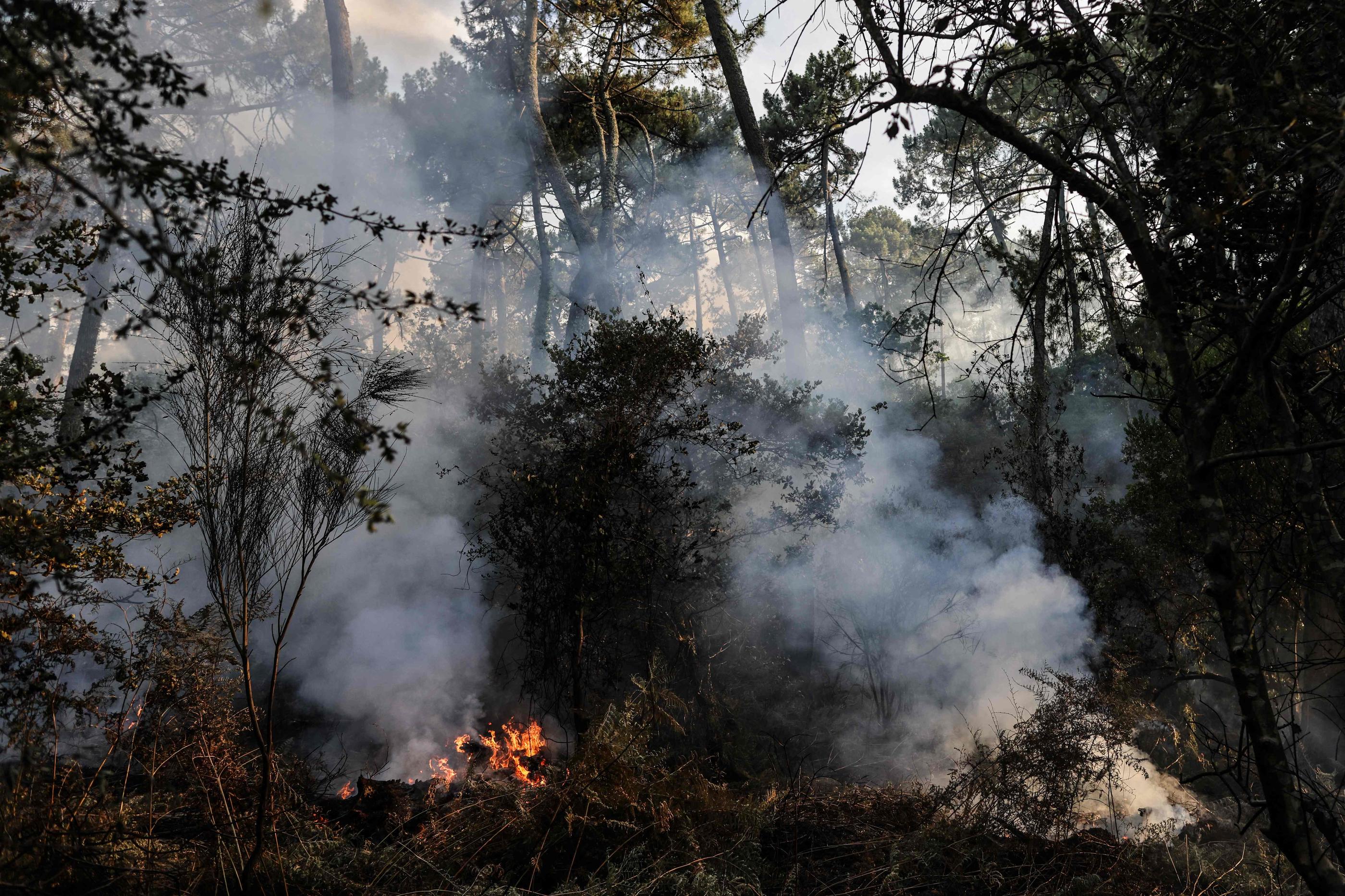 Incendie au sud d'Avignon : reprise de feu «virulente», des quartiers  évacués