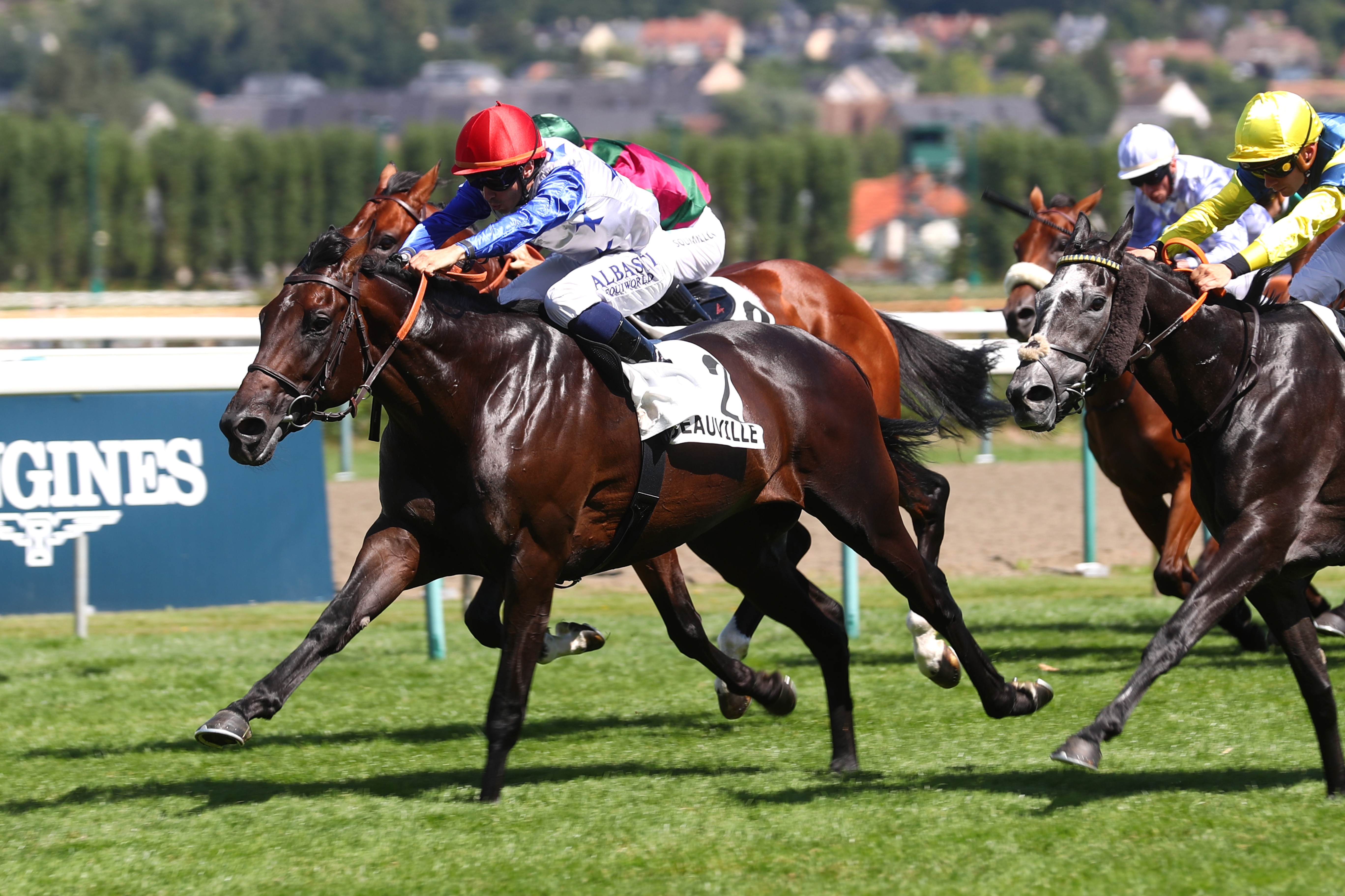 Deauville (Calvados), le 10 Août 2024. Performant dans les quintés, Morphewan s'offre un deuxième succès à ce niveau en dix tentatives.  SCOOPDYGA - CHOURAQUI Elliott