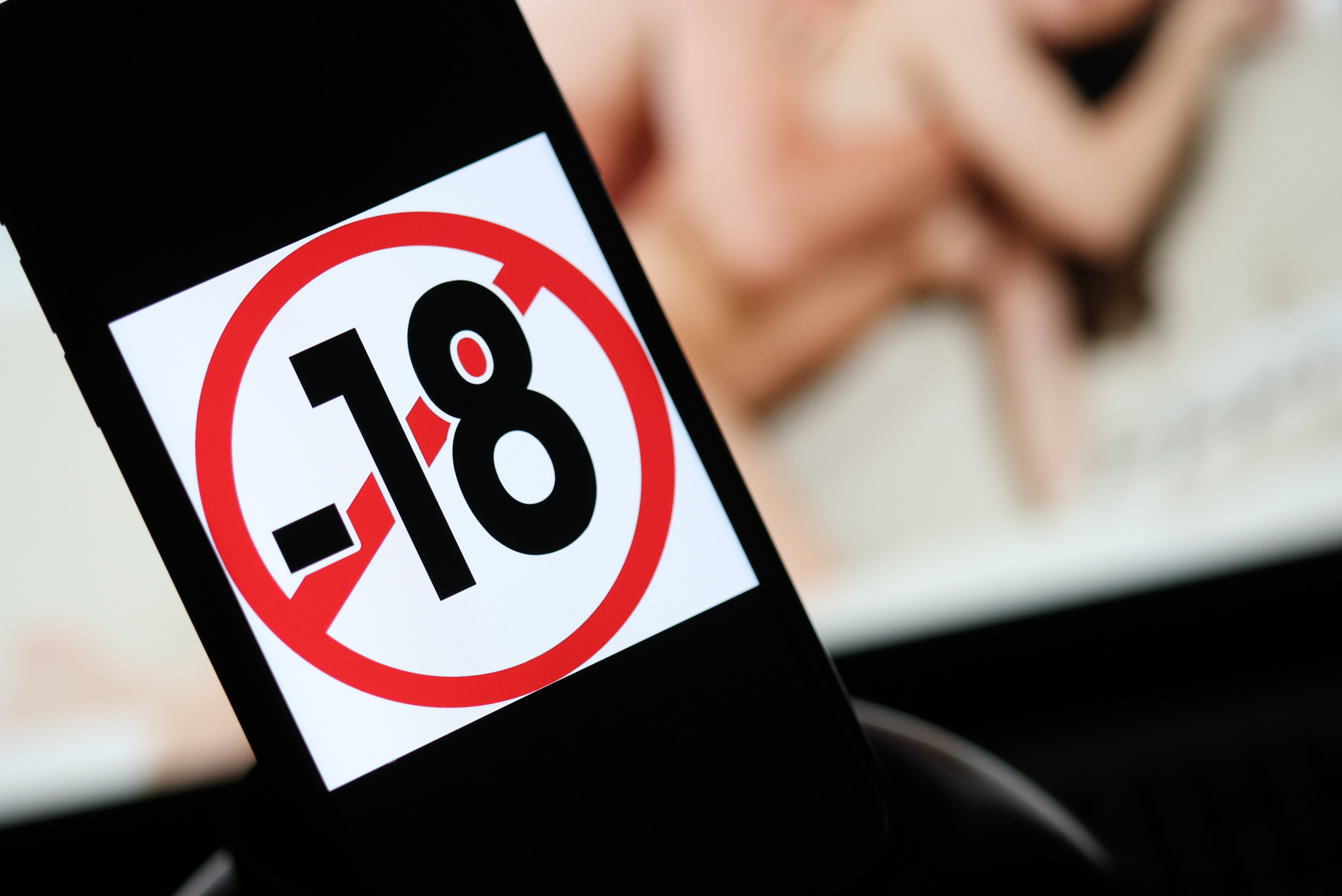 La Fédération Suédoise du Sexe a été officiellement créée par un gérant de clubs de strip-tease. PHOTO LE PARISIEN / ARNAUD JOURNOIS