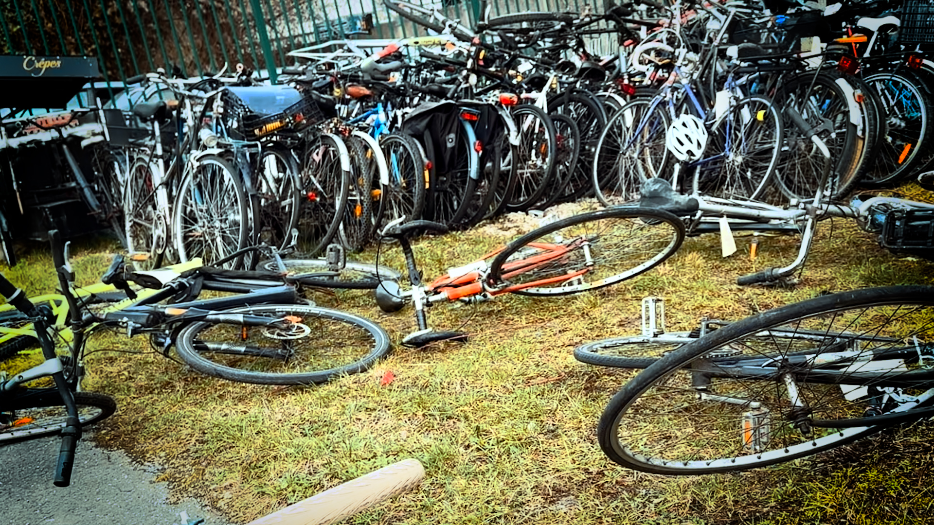 Des centaines de vélos, la plupart enlevés pour "stationnement gênant" sont entassés à la fourrière de La Courneuve.