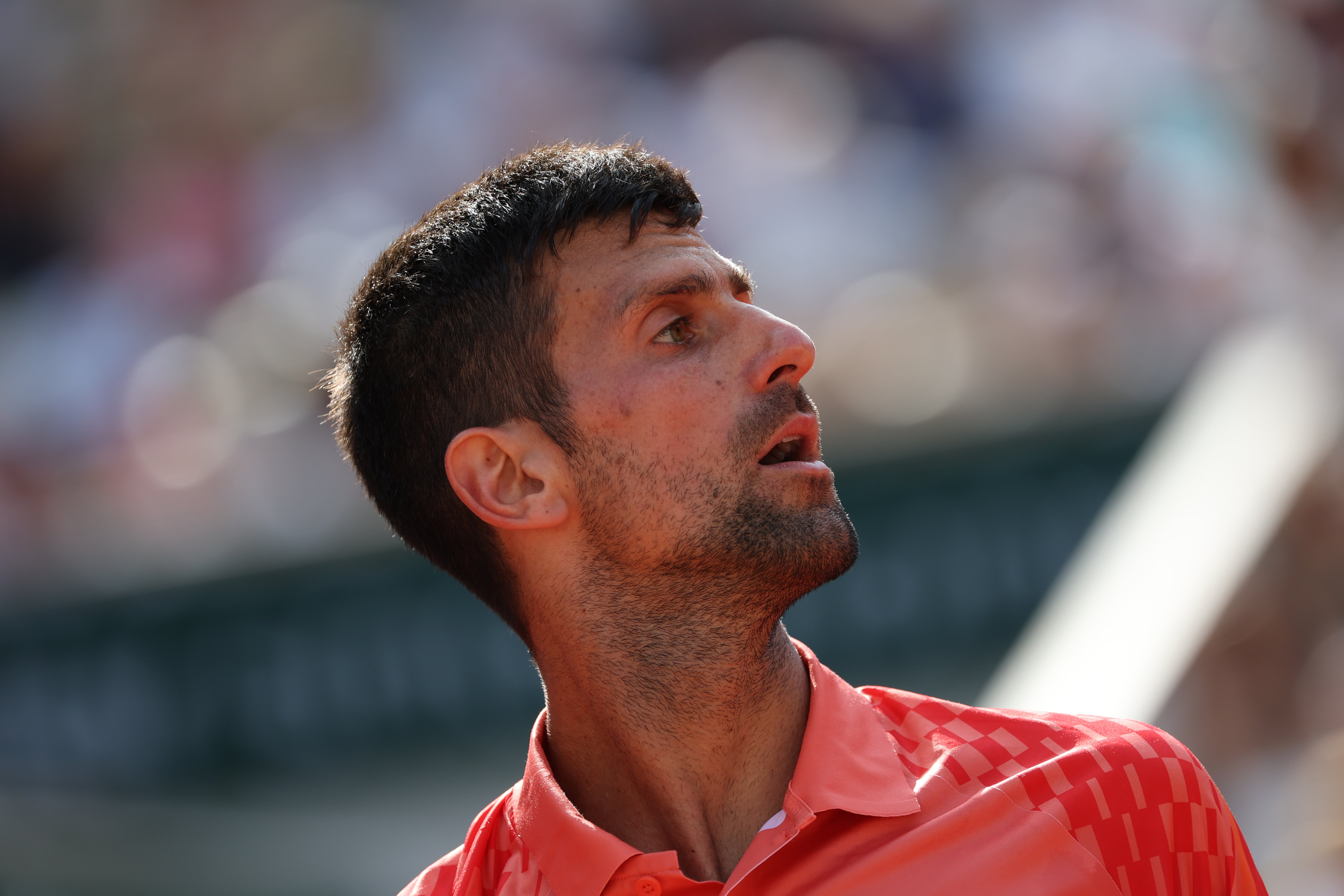 Novak Djokovic est qualifié pour la finale et tenter de gagner un 23e titre du Grand chelem. LP/Arnaud Journois.