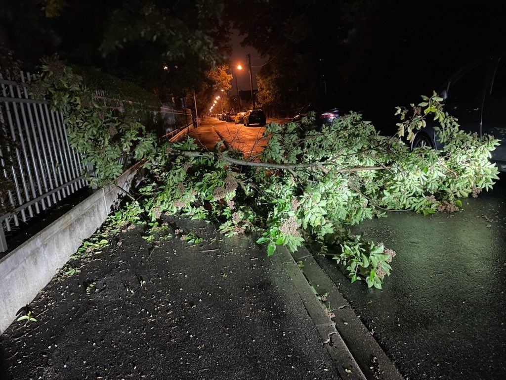 Yerres, ce jeudi 21 septembre 2021. La tempête Aurore a provoqué de nombreuses chutes d'arbres sur la voie publique.