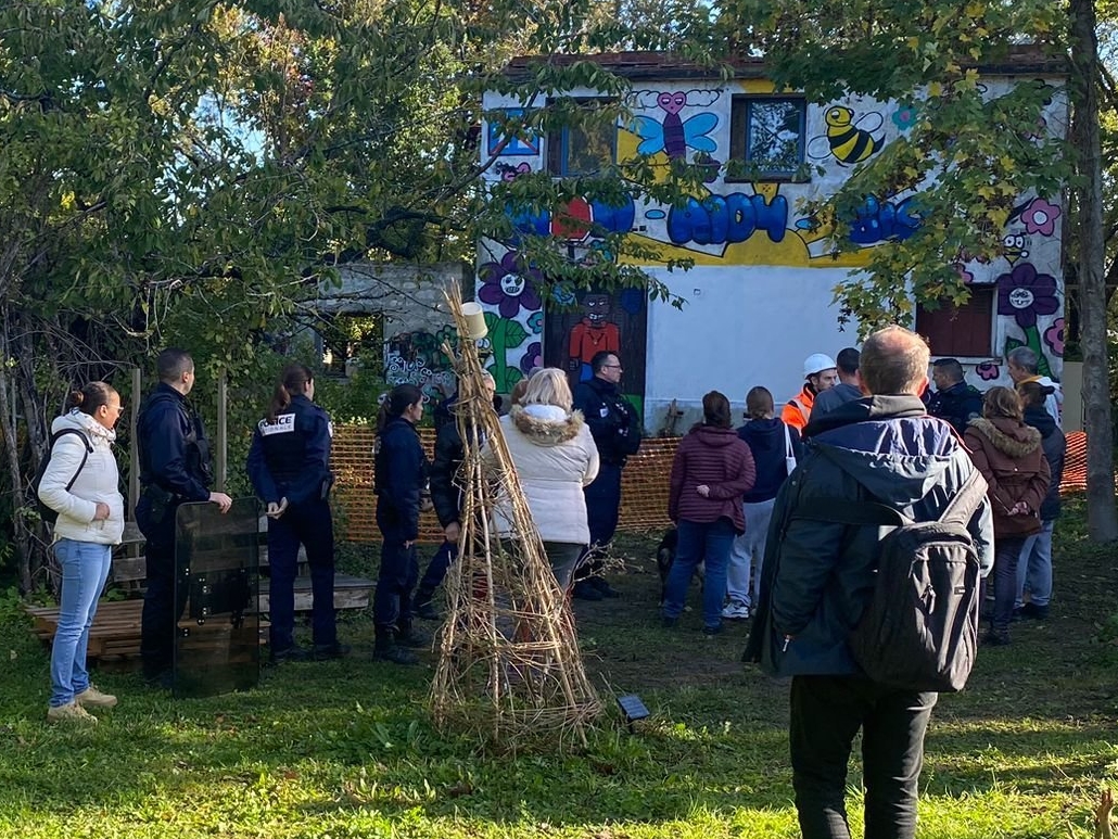 Le pouvoir caché des arbres : le tilleul - France Bleu