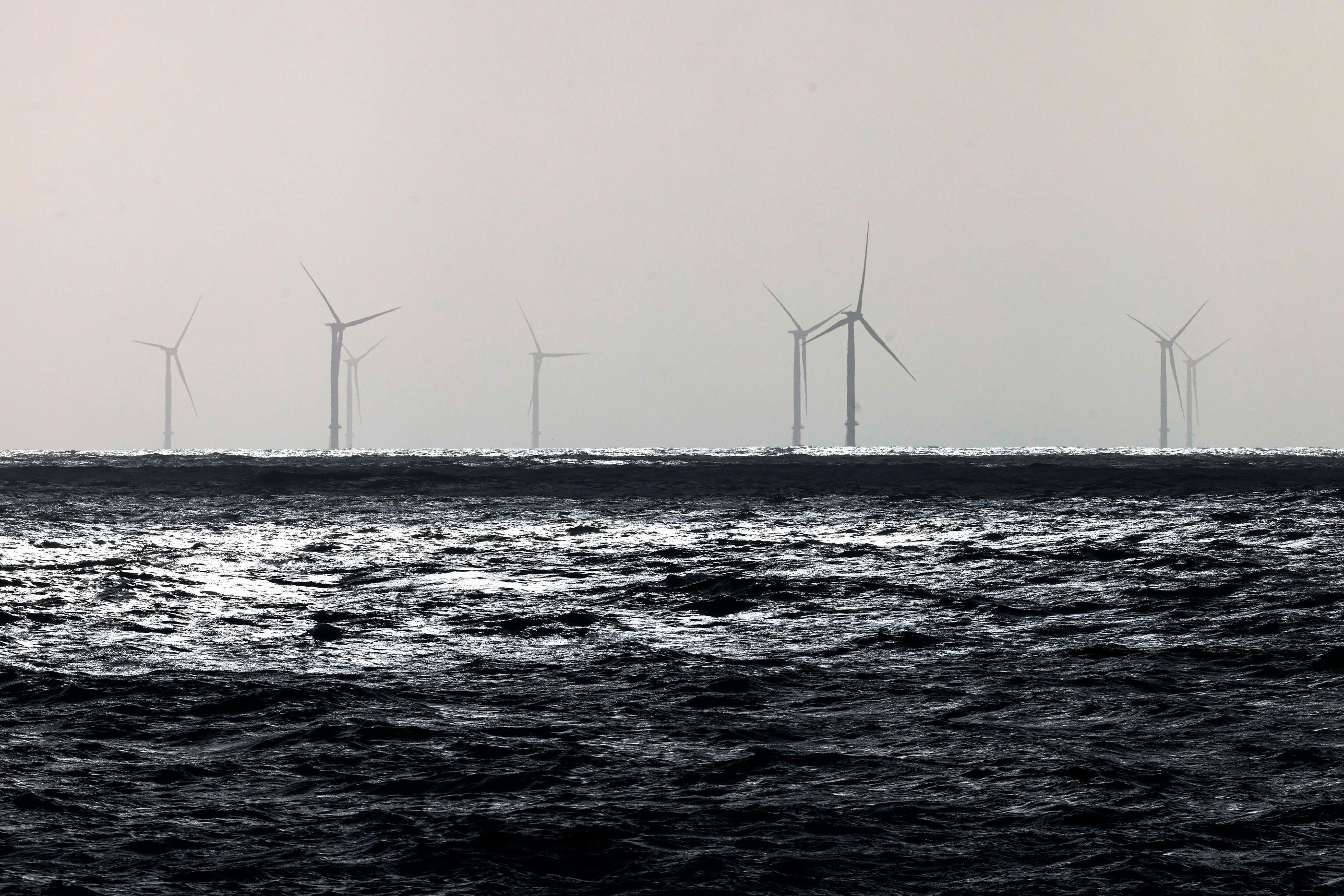 Un parc de 80 éoliennes offshore, en pleine mer, visible depuis la Côte Sauvage, de Batz-sur-mer près de St Nazaire, a été le premier à voir le jour en France. Il produit déjà depuis plusieurs mois de l'électricité grâce une énergie renouvelable./LP /Olivier Corsan