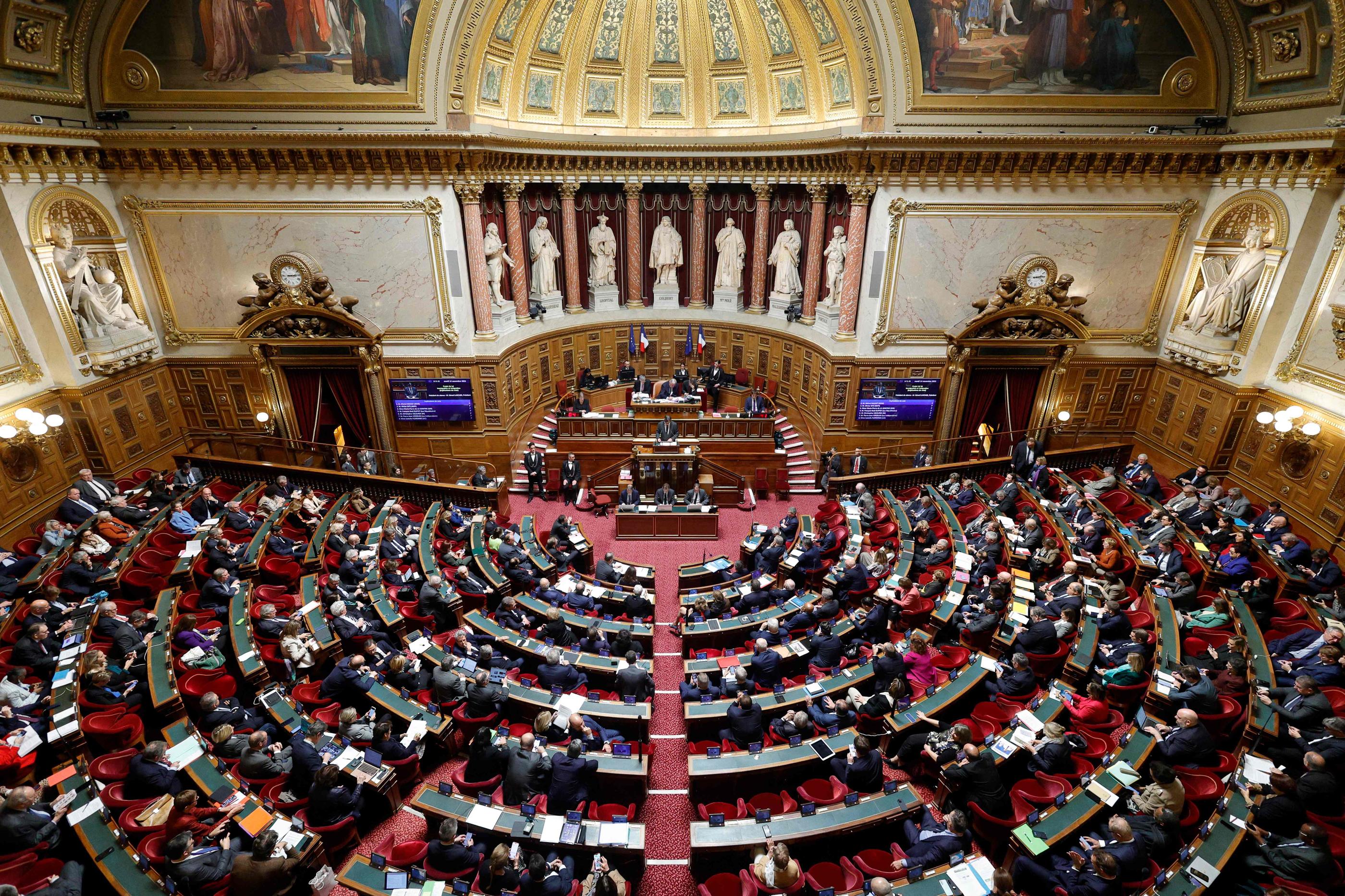 Paris, le 30 octobre 2024. Le Sénat a soutenu à l’unanimité une proposition de loi visant à améliorer la prise en charge des soins liés au cancer du sein. AFP/Geoffroy Van der Hasselt