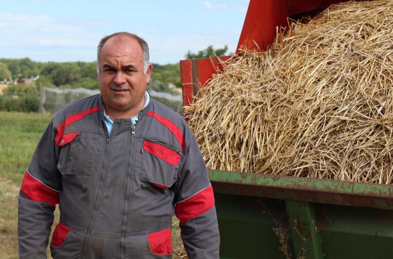 <b></b> La Queue-en-Brie, ce vendredi. Les cultures de Thibault Saussier, agriculteur, ont souffert de la sécheresse de 2020.