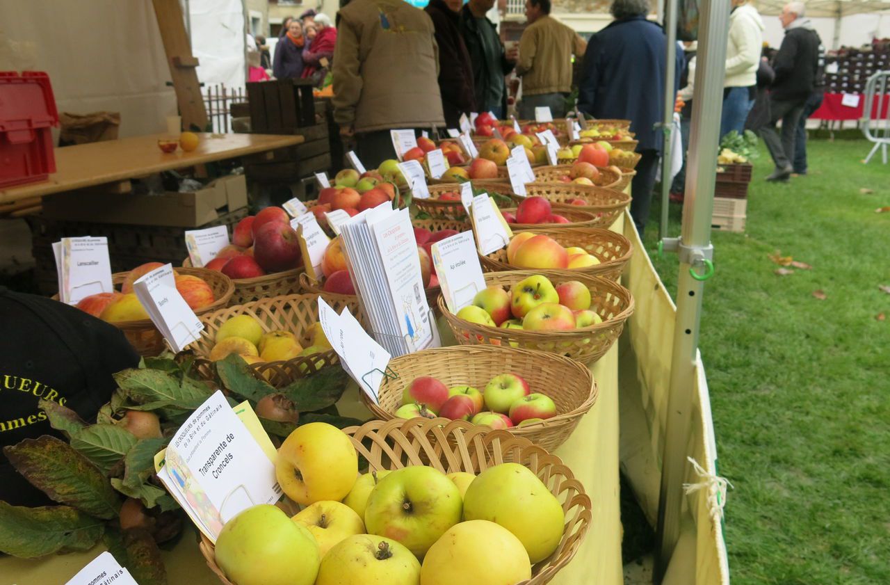 <b></b> Illustration. Une exposition avicole sera aussi organisée et des stands de produits artisanaux à disposition des visiteurs de la 27e fête de la pomme. 