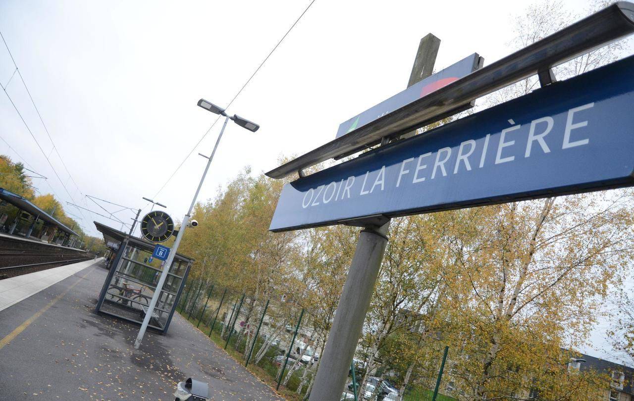 <b></b> Un jeune majeur s’est jeté sous un train en gare d’Ozoir-la-Ferrière. (LP/Nicolas Sivan)