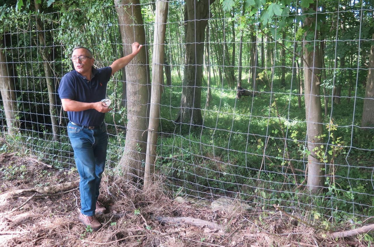 <b></b> Ce vendredi, à Avilly-Saint-Léonard. Eric Mulochot, de l’association la sauvegarde de Courteuil-Saint-Nicolas d’Acy, souligne que de simples changements de clôtures pourraient résoudre les problèmes de passage des cerfs.