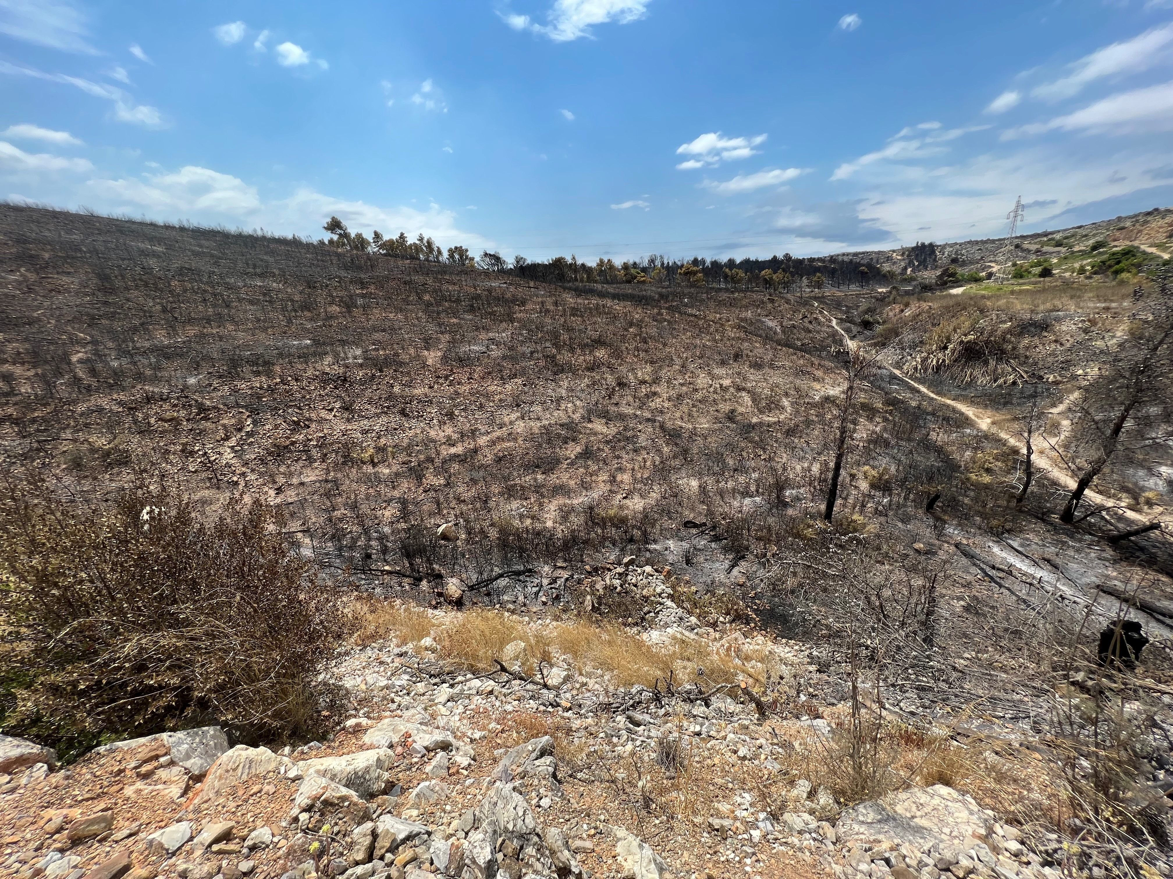 Un incendie qui s'était déclaré près de la commune d'Opoul-Périllos, dans les Pyrénées-Orientales, avait ravagé des centaines d'hectares en juin 2022. LP / Christian Goutorbe