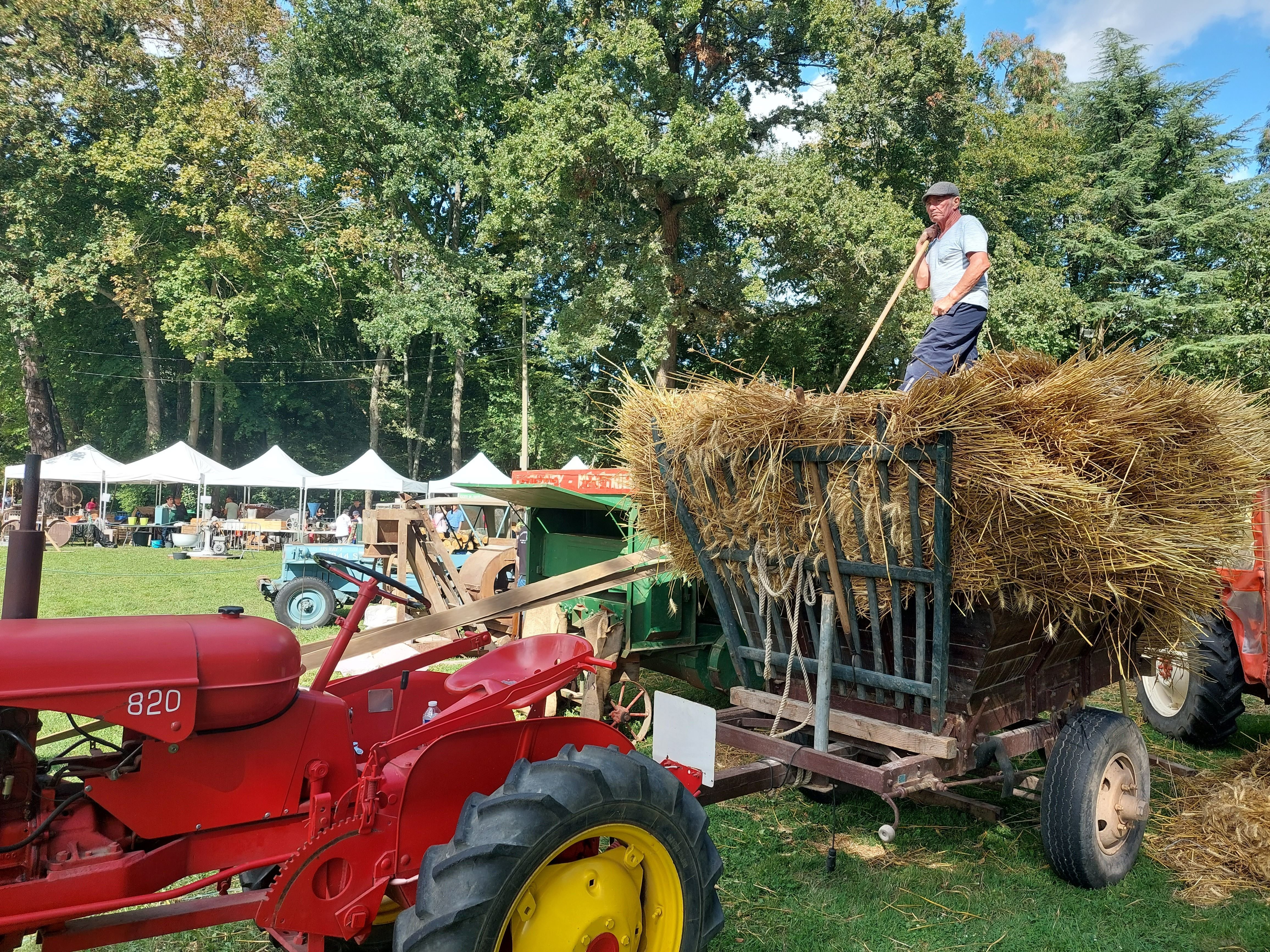 Marcoussis, samedi 26 août 2023. Au beau milieu du site, une batteuse entraînée par le moteur d’un tracteur permet de séparer le grain de blé de l’épi. LP/Florian Garcia