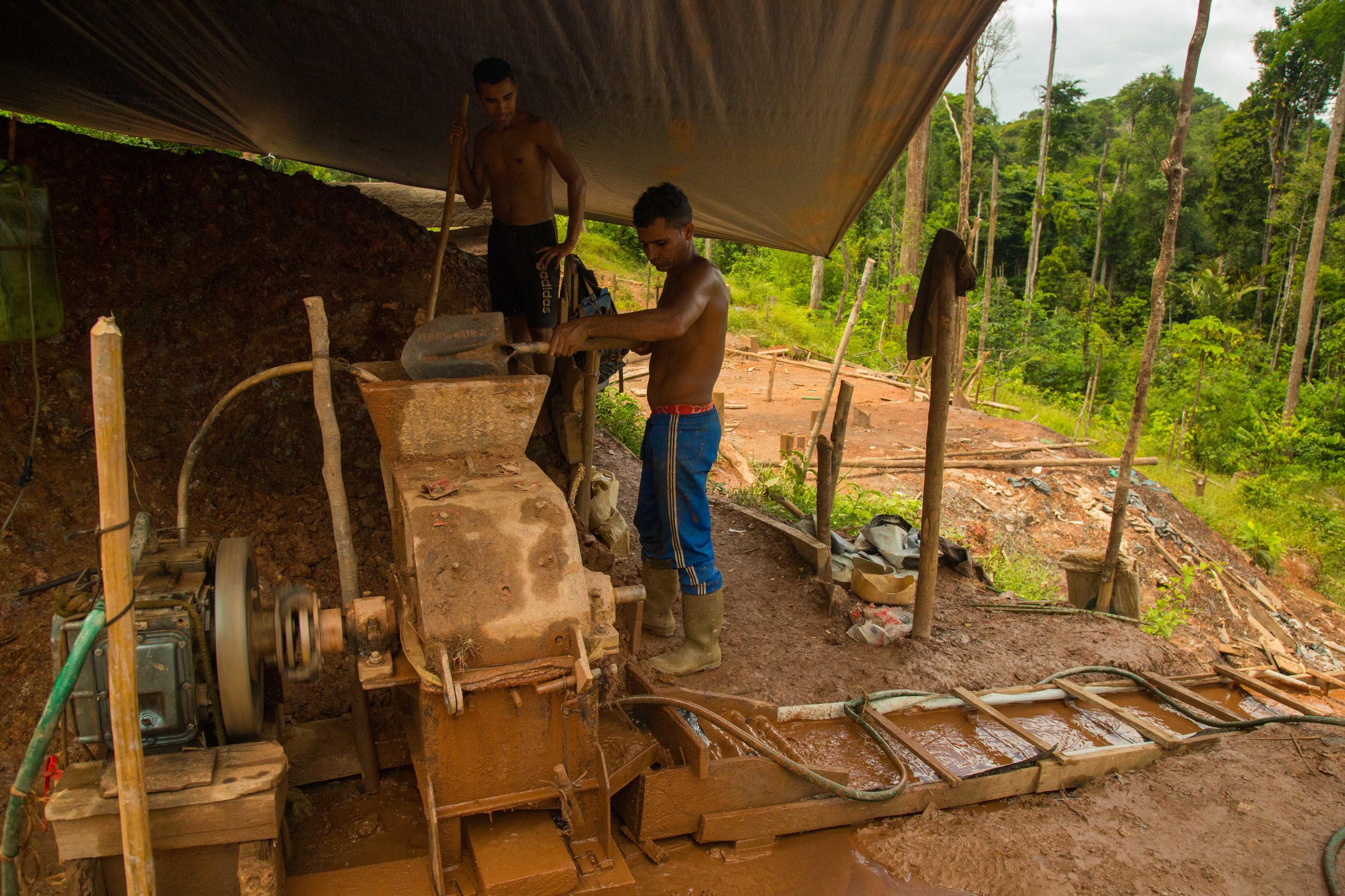 Chaque année entre 6 et 10 000 garimpeiros extraient illégalement 10 tonnes d'or de Guyane et l'exportent vers le Surinam ou le Brésil. Une activité très lucrative mais surtout très polluante à cause du mercure utilisé pour l'extraction. Sipa/Louai-Barakat