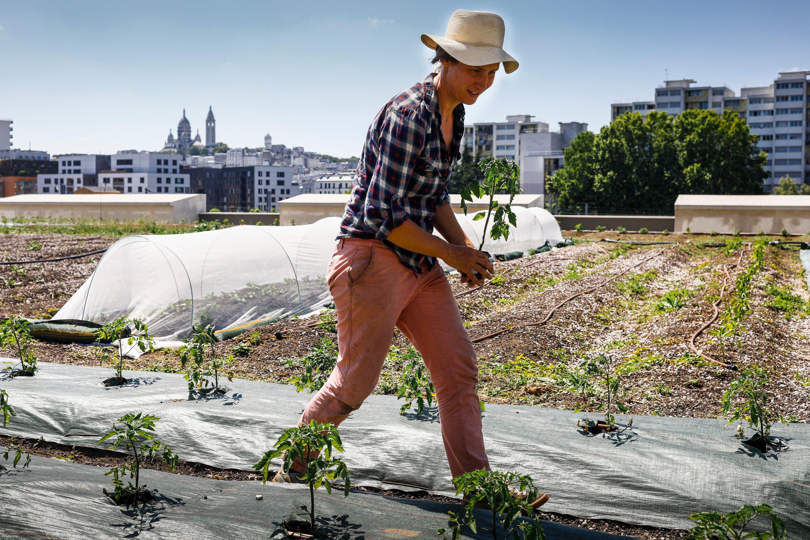 La plus grande ferme urbaine en Europe sera sur un toit de Paris