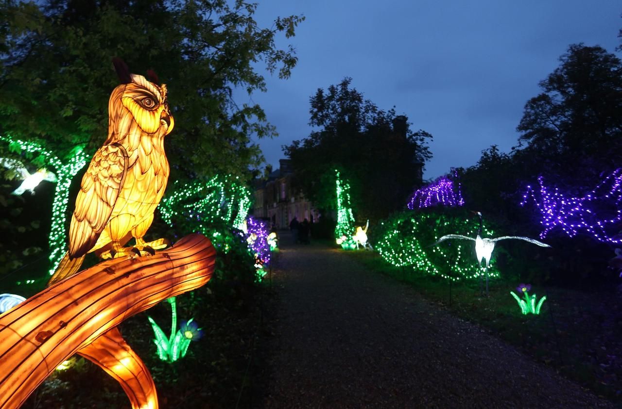 <b></b> Entre 7h30 et 9h30, les animaux  dorment encore à Thoiry, mais les visiteurs peuvent admirer les illuminations et profiter d’une box petit-déjeuner.