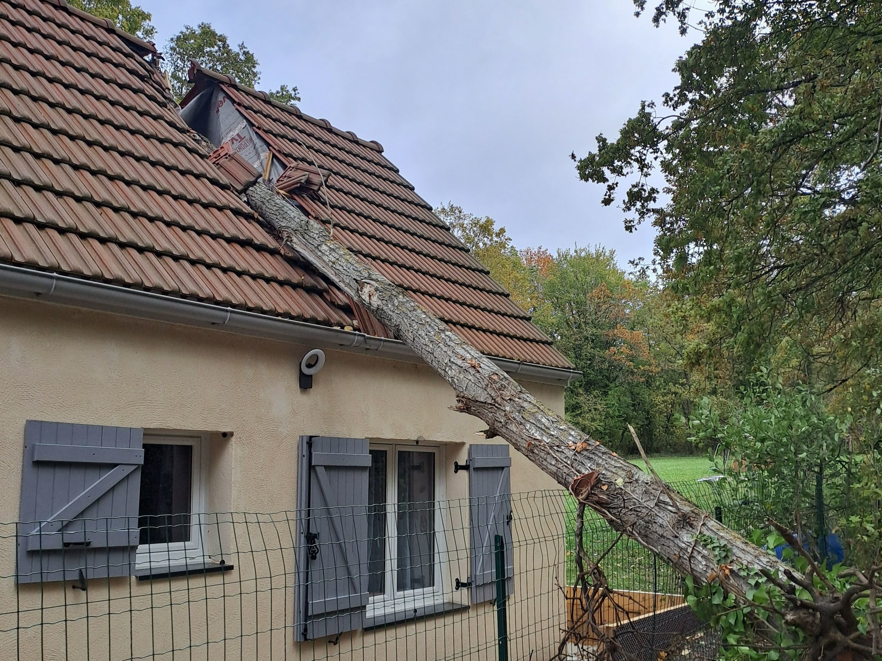 Crécy-la-Chapelle, jeudi 2 novembre 2023. Conséquence de la tempête Ciaran, un arbre est tombé sur la toiture d'une maison. La famille n'a pas souhaité être relogée.