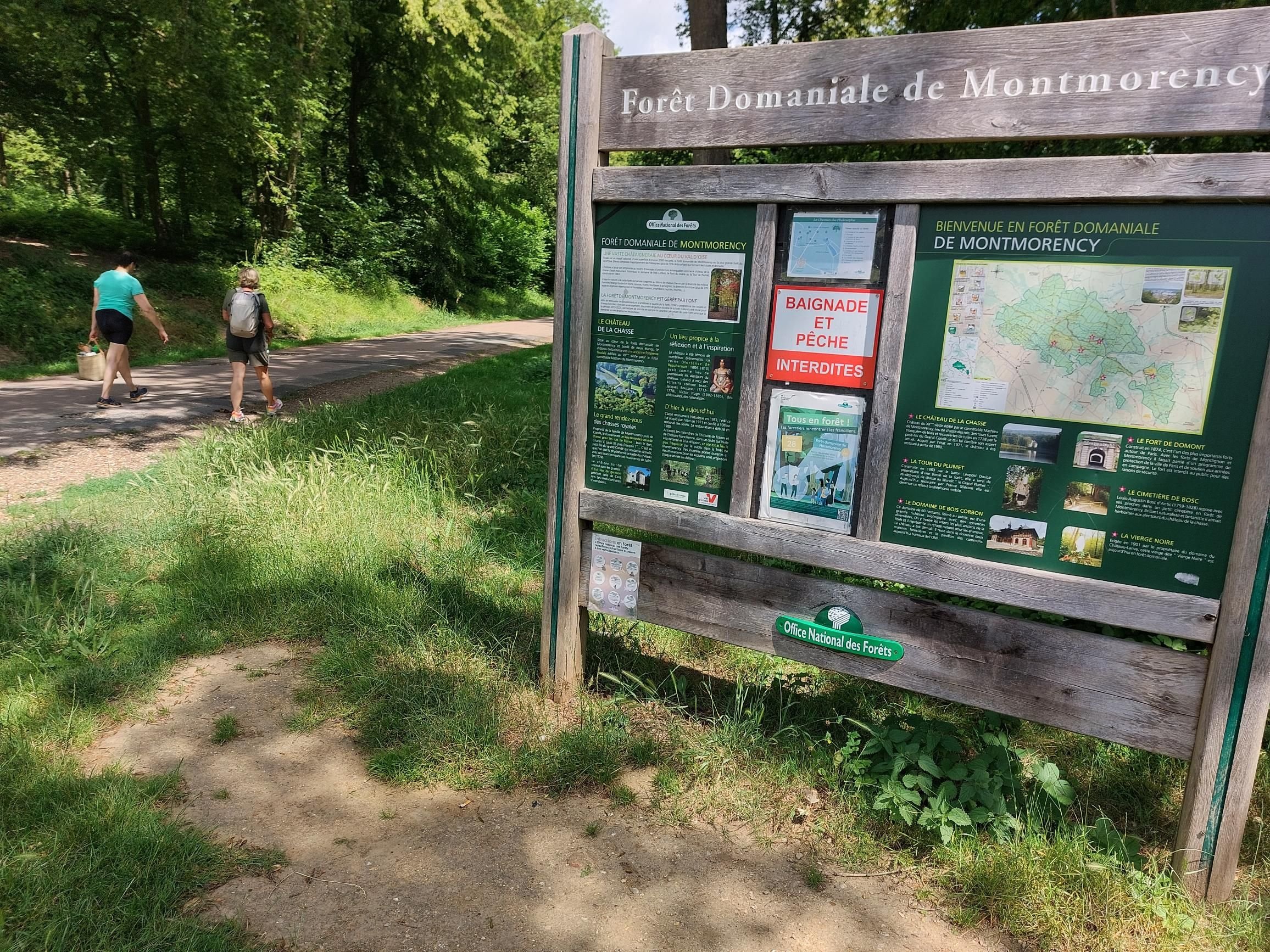 En forêt de Montmorency (Val-d'Oise) l'ONF plante entre 1 200 et 1 600 arbres à l’hectare et réimplante plus de 17 essences différentes. LP/Christophe Lefevre