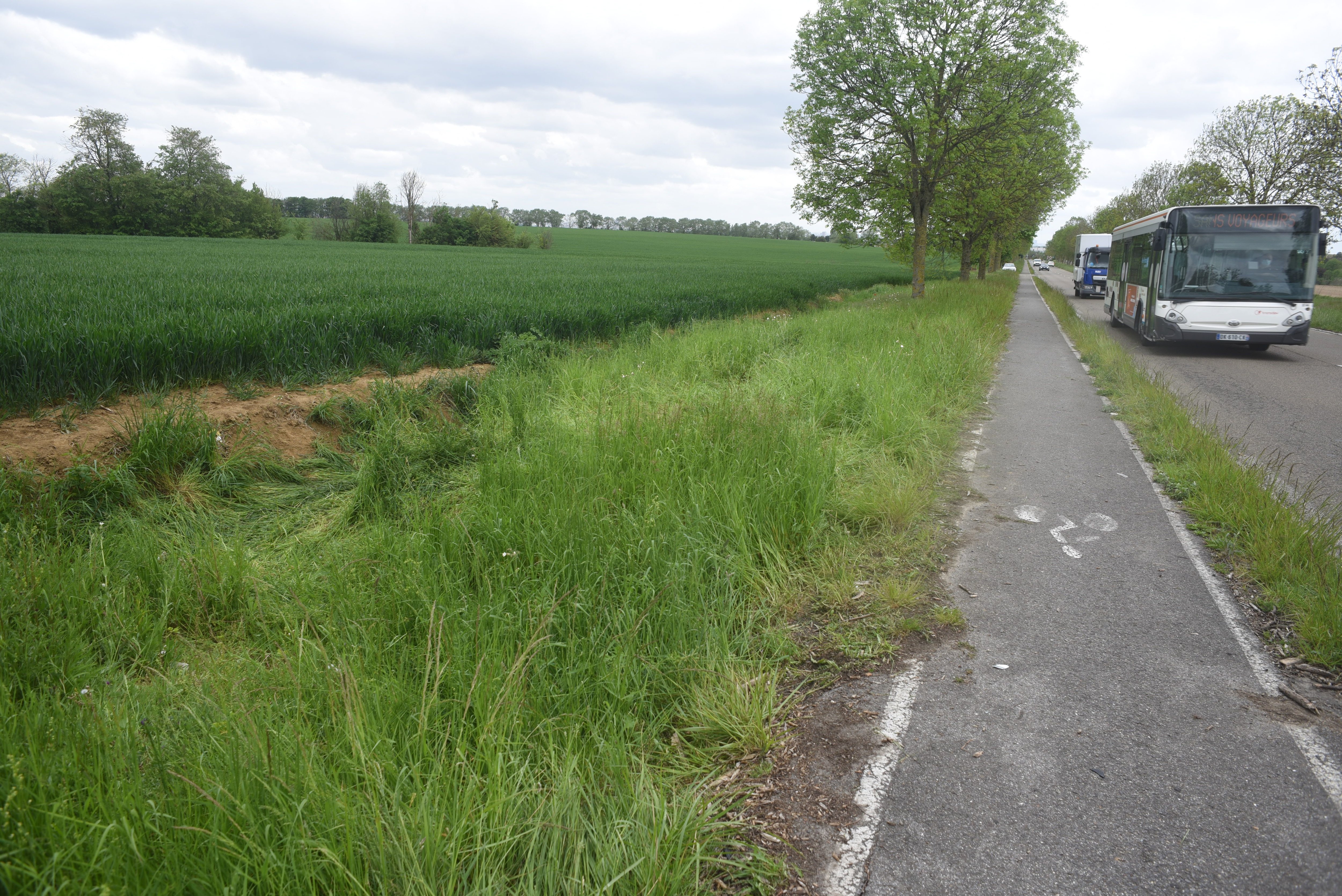 Gonesse, D902. Le 11 mai dernier, un cycliste avait été percuté par une voiture et avait trouvé la mort. LP/Frédéric Naizot