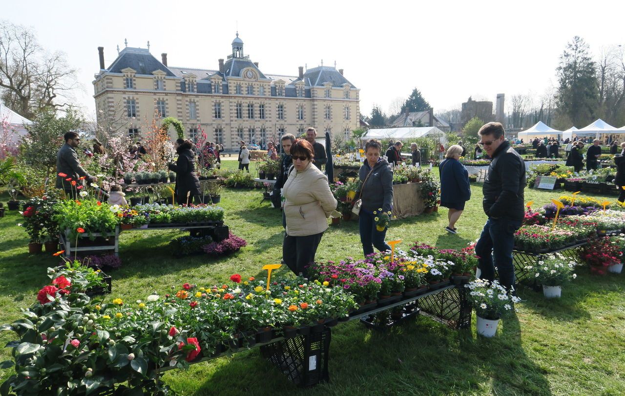 <b></b> Savigny-le-Temple, mars 2017. Le Printemps des jardiniers, organisé dans le parc du château de La Grange La Prévôté, attire régulièrement plusieurs milliers de visiteurs sur deux jours.