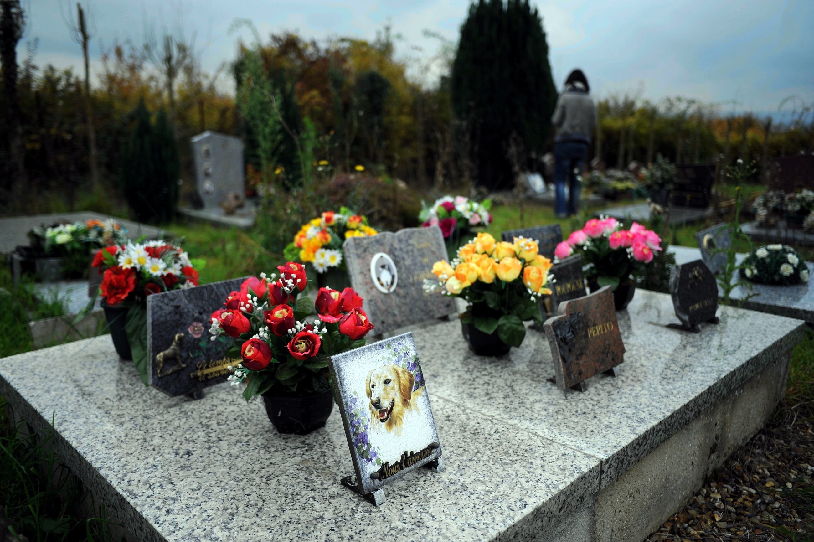 Les cimetières pour animaux, comme celui de Saint-Leu-d'Esserent dans l'Oise (notre photo), sont rares en France. Le département des Yvelines attend toujours la création d'un site dédié sur son territoire. LP/Hervé Sénamaud