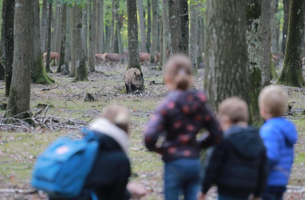 -Vacances de la Toussaint : notre guide des sorties en famille en région parisienne 