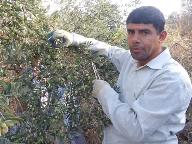 Bilal Saleh, 40 ans, a été tué le 28 octobre dernier à As-Sawiya par un colon israélien alors qu'il récoltait des olives dans le champ familial. DR