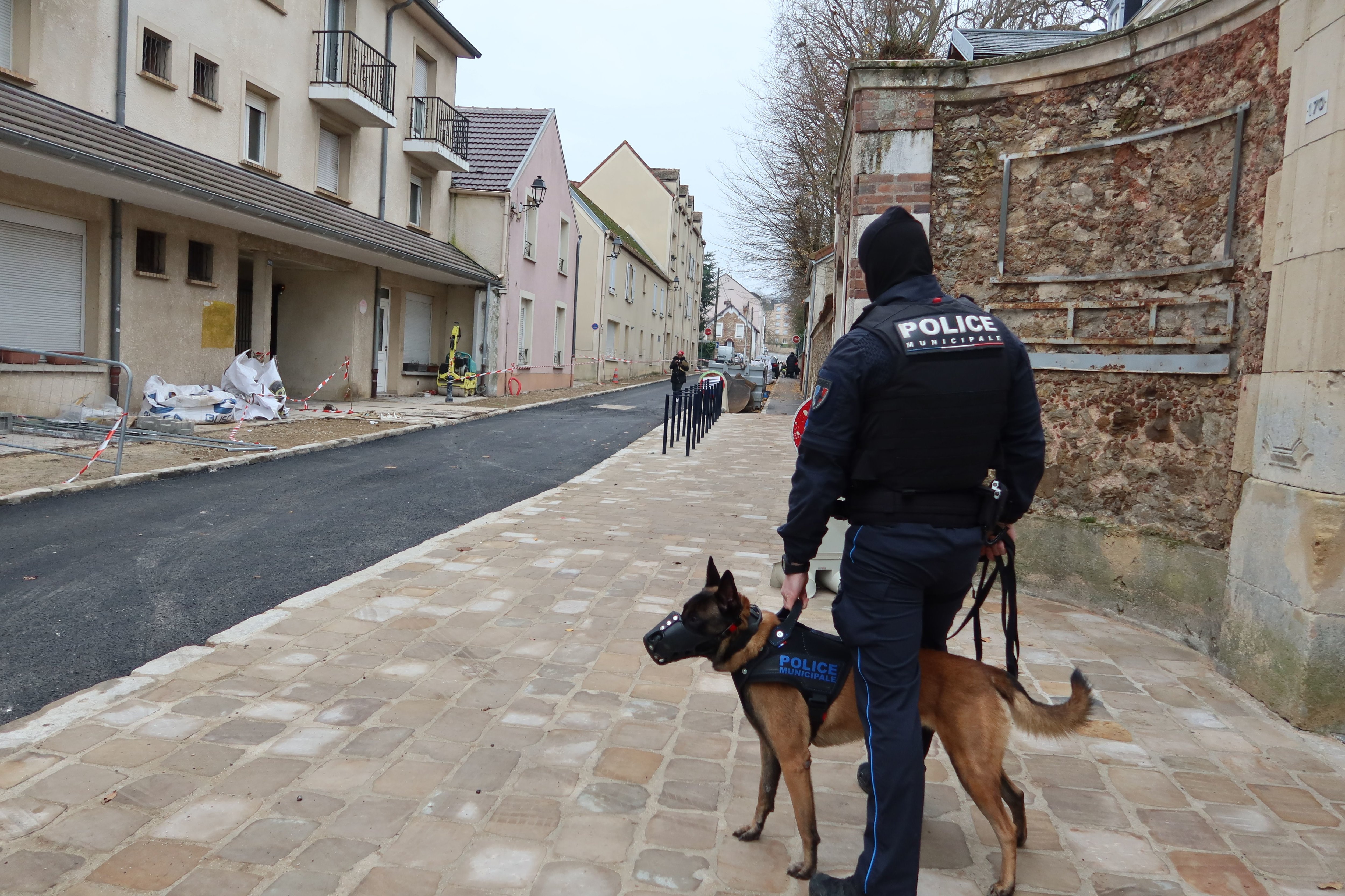 Dammarie-les-Lys (Seine-et-Marne), le 19 décembre 2023. Muselé en permanence, le chien de la police municipale sécurise les interventions des agents et se révèle très dissuasif en cas de rixes. LP/Sophie Bordier