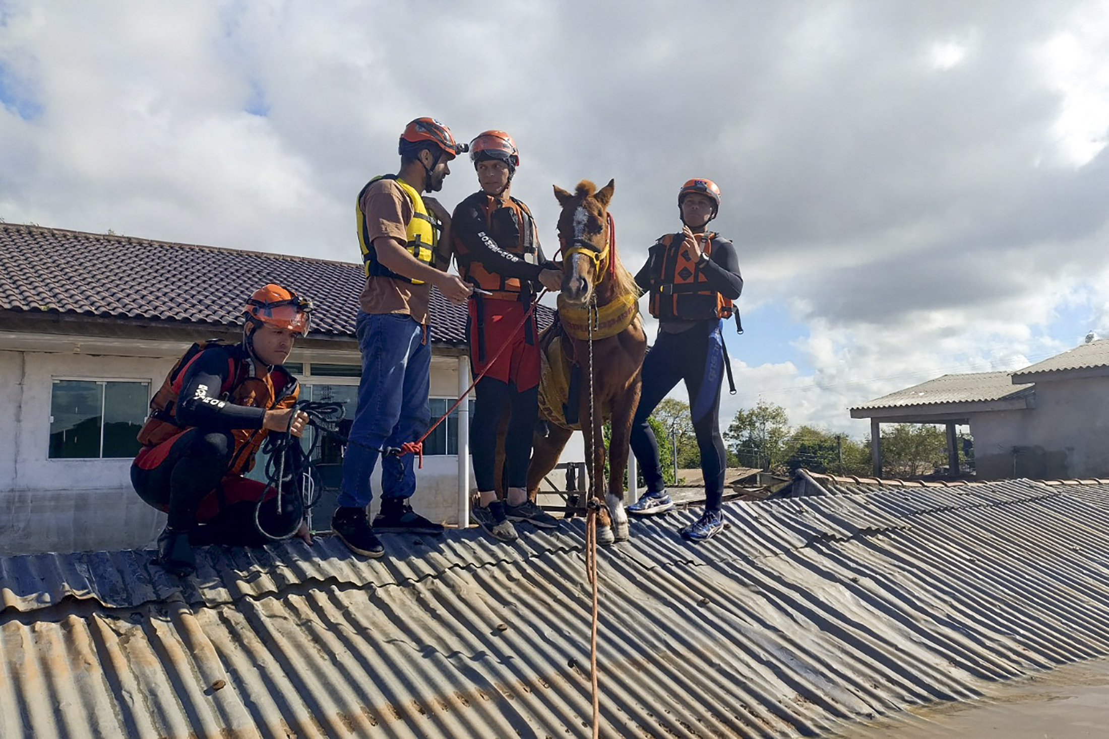 Les pompiers ont été mobilisés pour secourir le cheval qui était coincé sur le toit d’une maison depuis de nombreuses heures. AFP/ Pompiers de Rio Grande do Sul