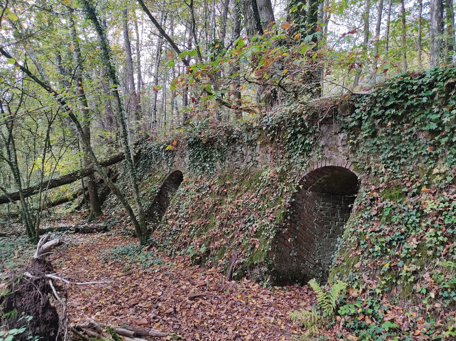 La Briqueterie du Vertin à Saint-Imoges (Marne) possède encore un four  parfaitement conservé mais actuellement noyé dans les arbres. Fondation du patrimoine.