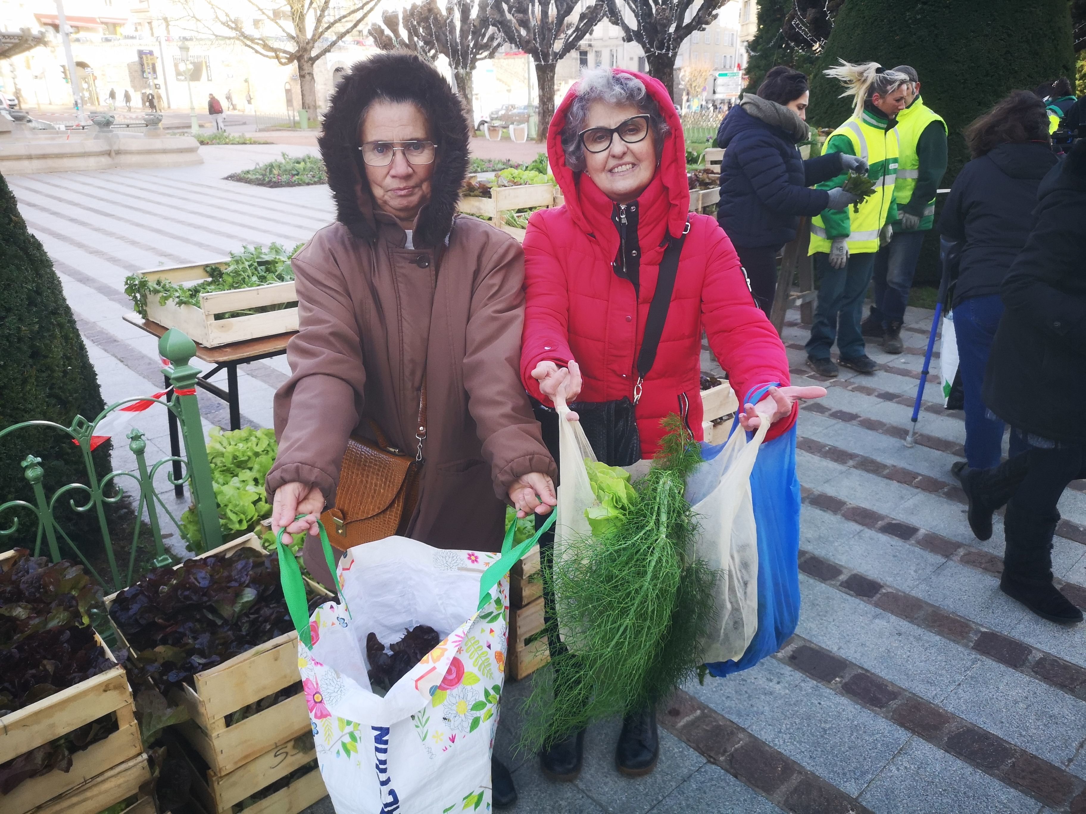 Salades, céleri et radis noir… La ville de Limoges distribue ses légumes gratuitement. LP/Franck Lagier