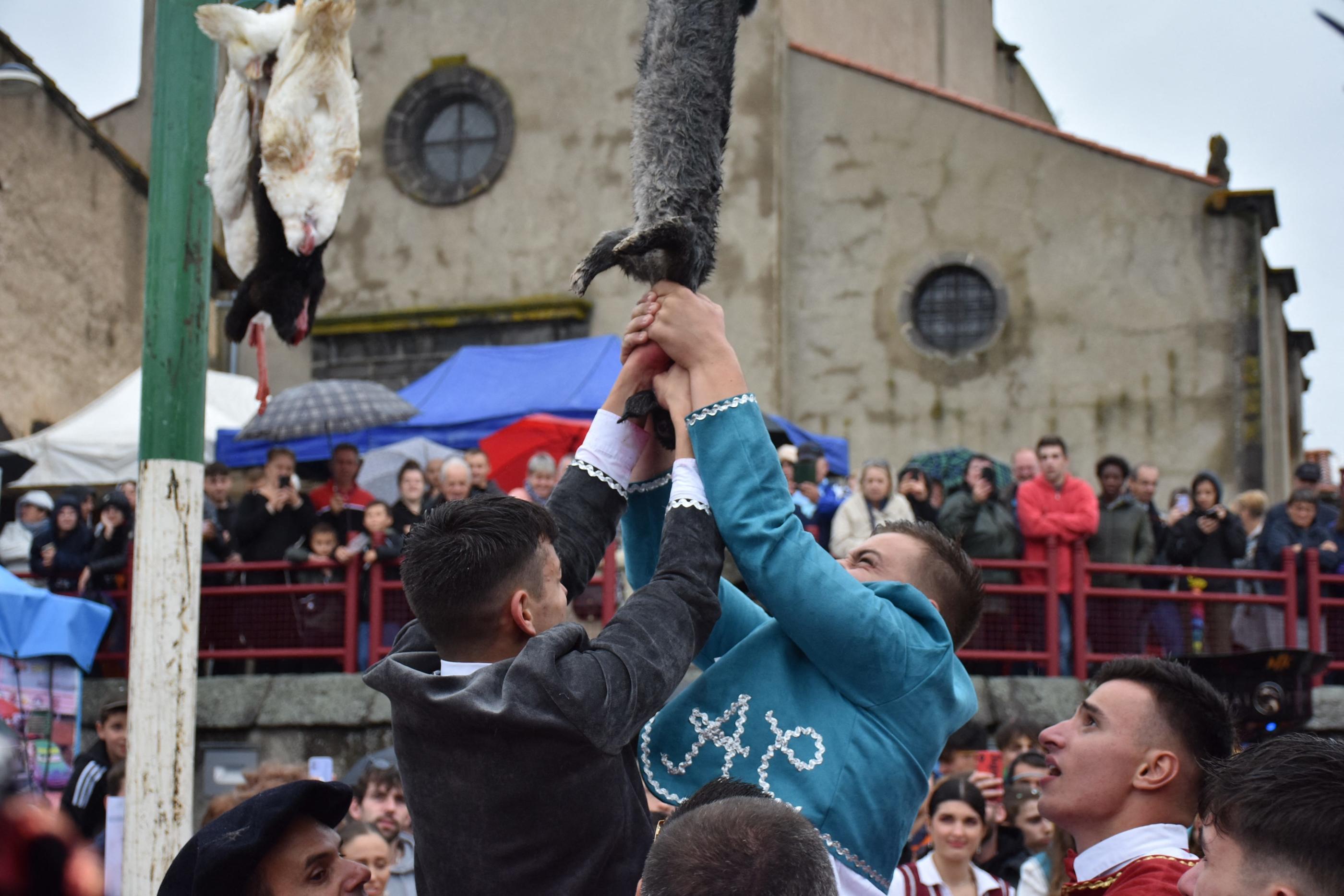 Les conscrits de la commune ayant eu 18 ans dans l’année sont invités ce week-end à décapiter un animal tué pour l'occasion, comme ici en 2021. PhotoPQR/La Montagne/Jean-Baptiste Ledys