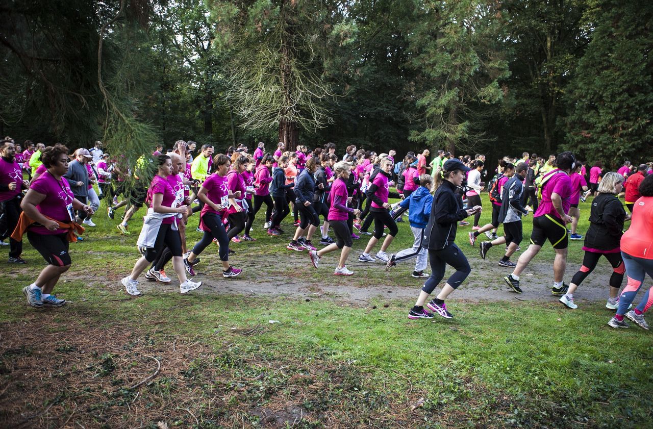 <b></b> Mennecy. Plus de 1500 personnes sont déjà inscrites à la course de la Ligue contre le cancer. 