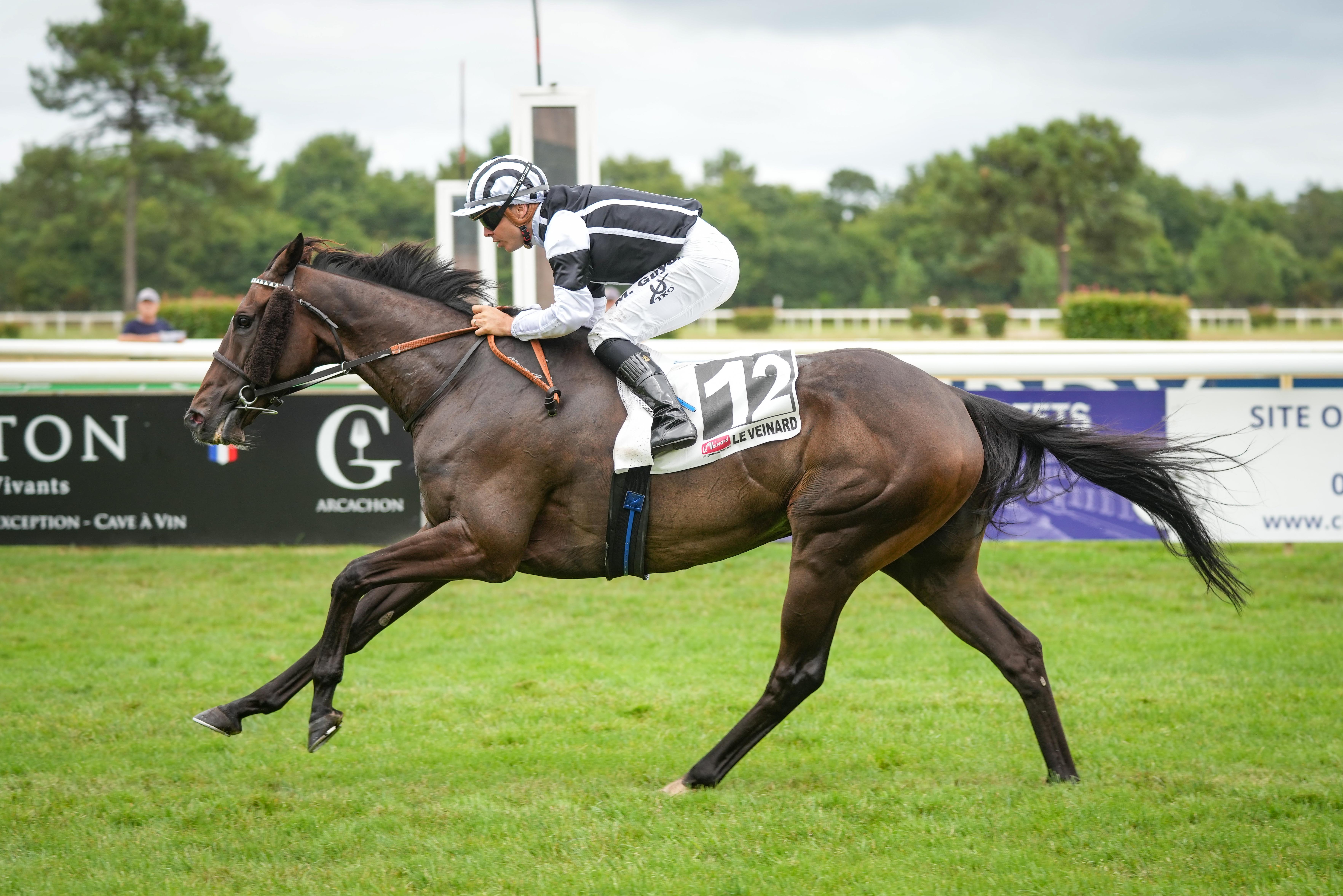 Hippisme : les résultats PMU du jour et les pronostics Turf sur Le Parisien