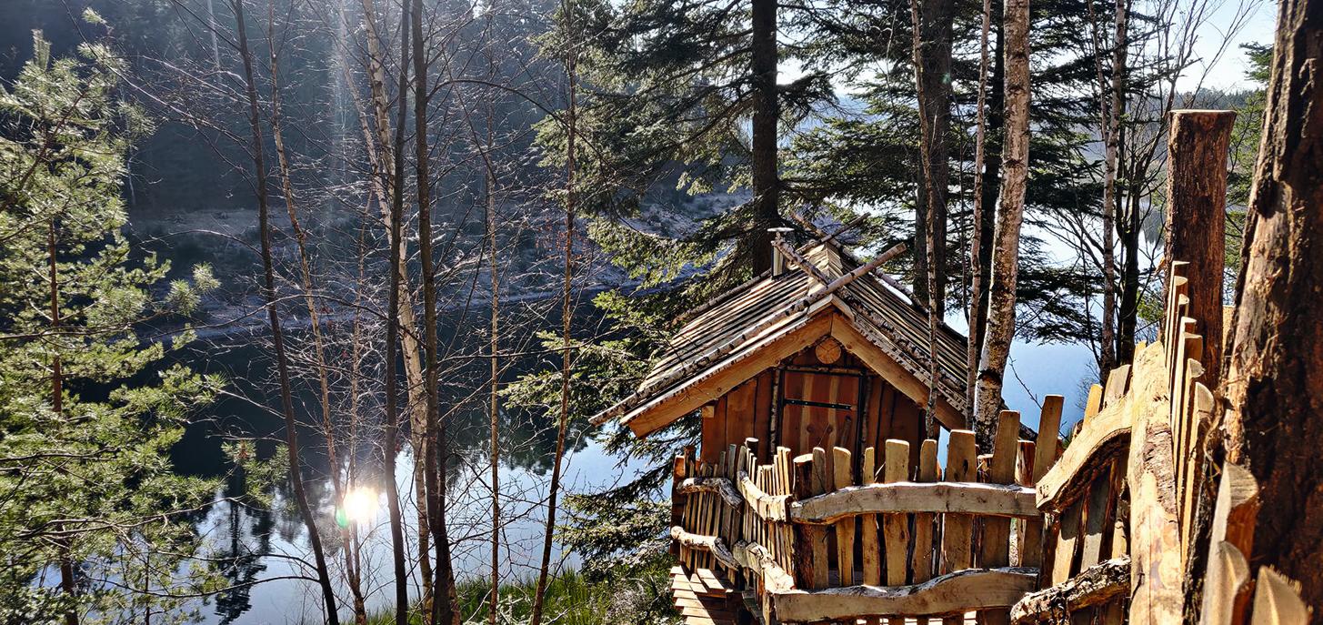 101 choses à faire dans une cabane dans les bois - Vosges qui peut