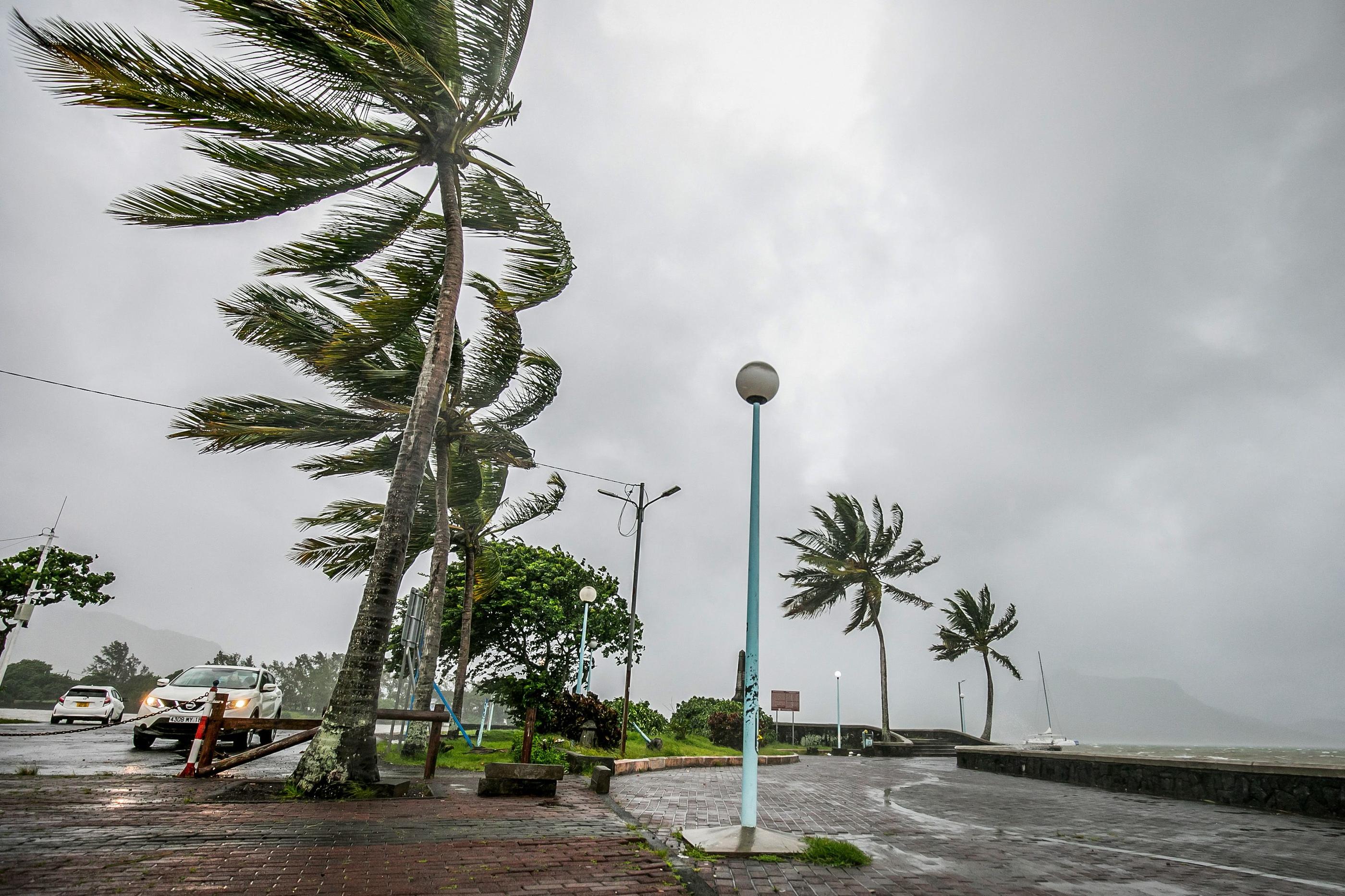 Les vents provoqués par le cyclone Belal touchaient déjà l'île Maurice ce lundi. AFP/Laura Morosoli