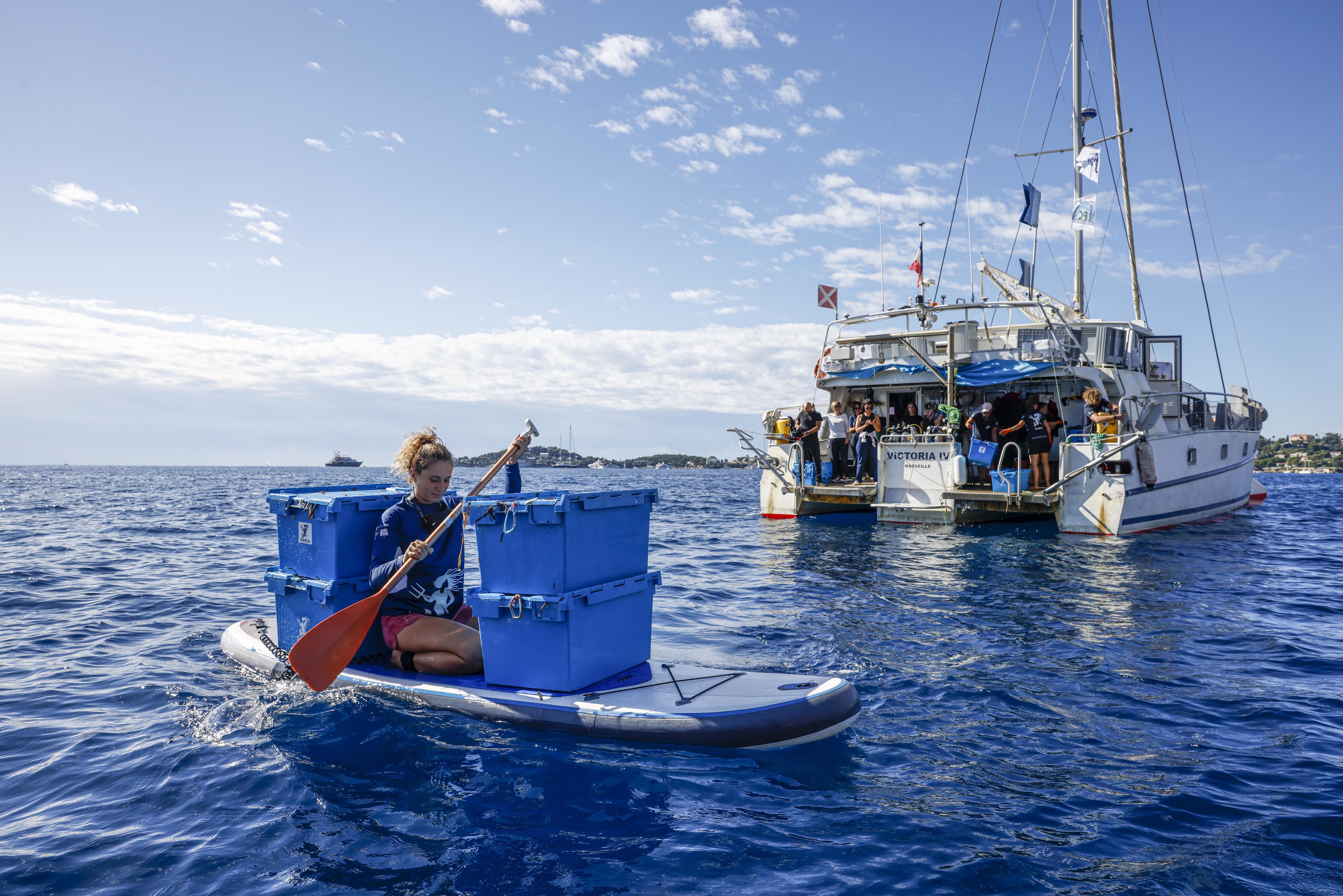 L'association L'Œil d'Andromède et leur société Andromède Océanologie, soutenues par la MAIF, replantent en mer Méditerranée l'algue Posidonie, souvent arrachée par les ancres des bateaux et yachts qui viennent mouiller près de côtes. LP/Olivier Corsan